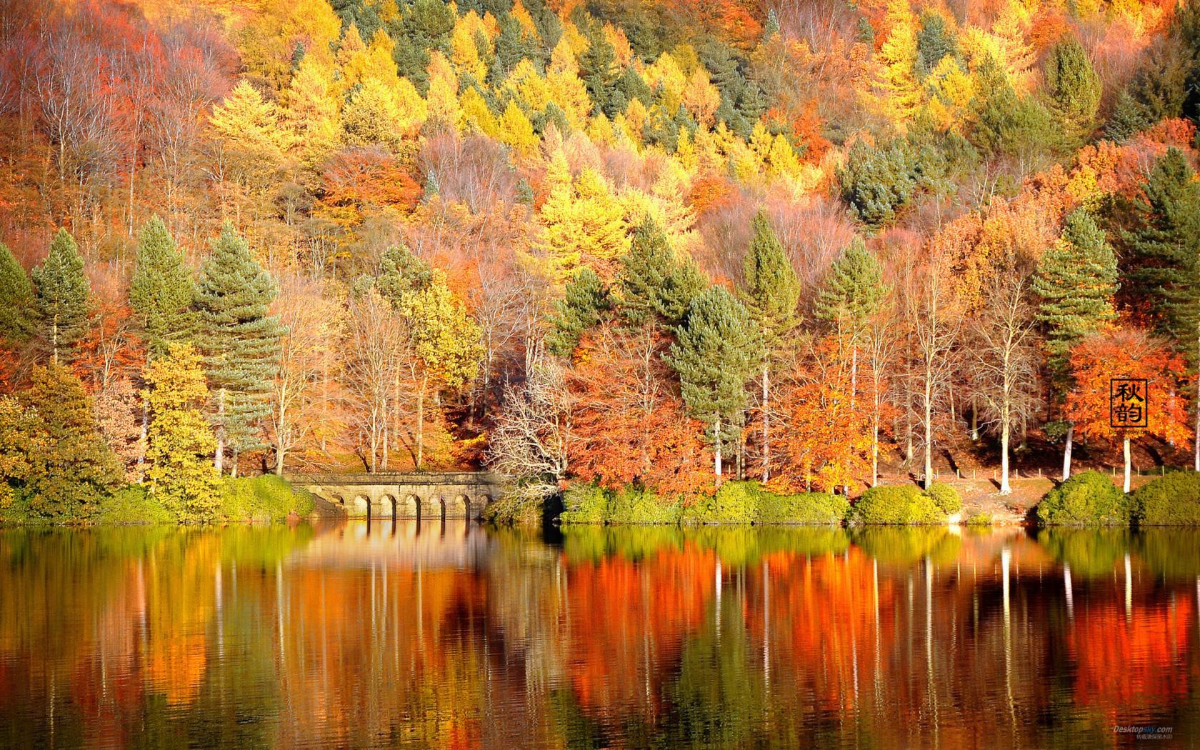 1680x1050 Autumn Wallpaper HD (33)