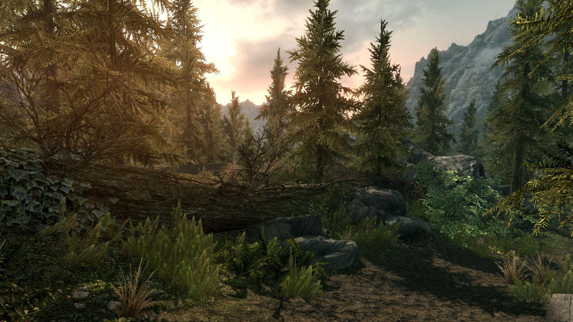 1920x1080 Elder Scrolls V: Skyrim to Use Console Commands, God Mode, Free Gold