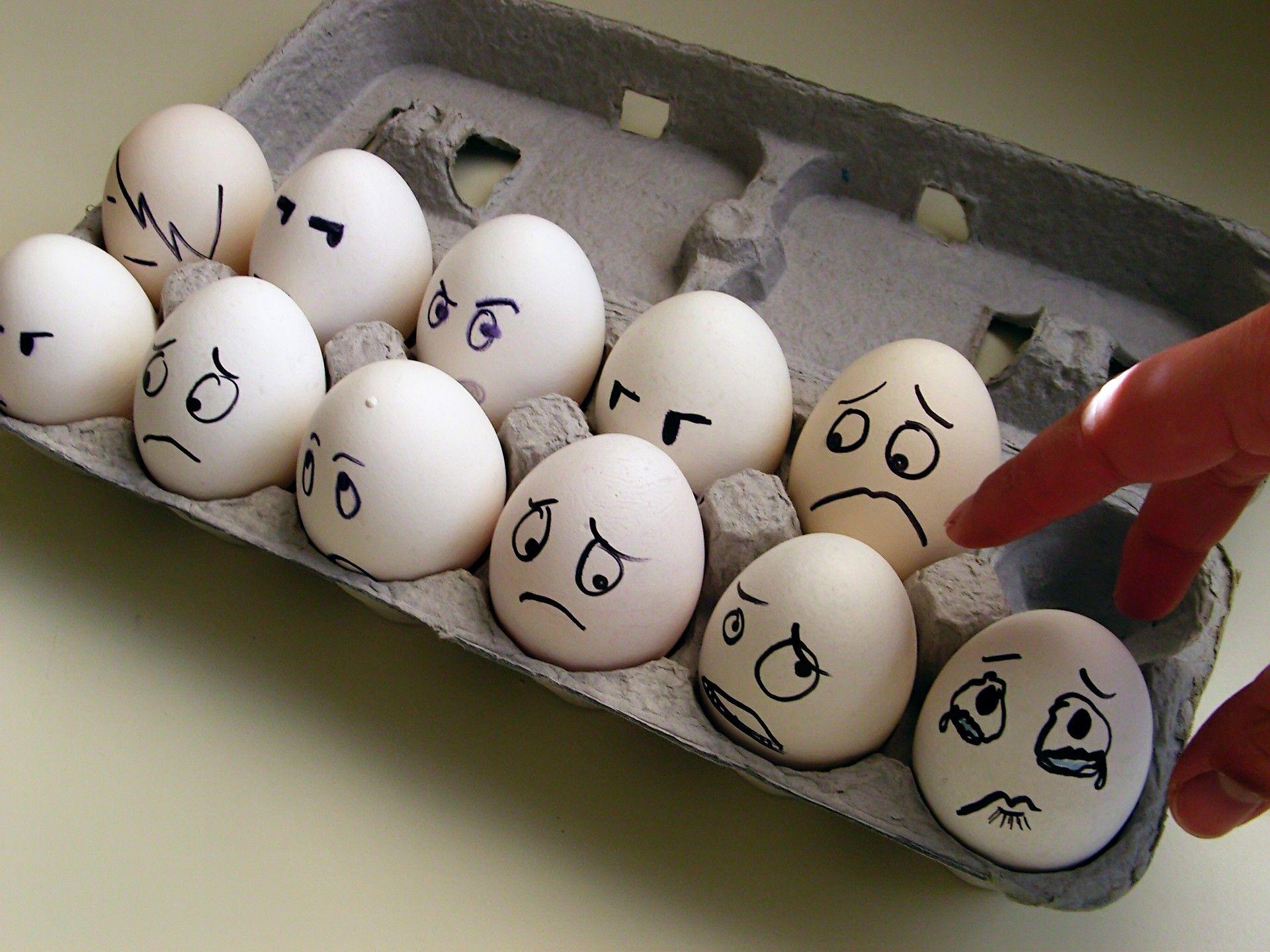 1920x1440 Cartoon, Sad, Mood, Fun, humor, Emotion, Faces, High Quality Photo, drawing, Egg, Situation, Sorrow, Tears, High Definiton Funny