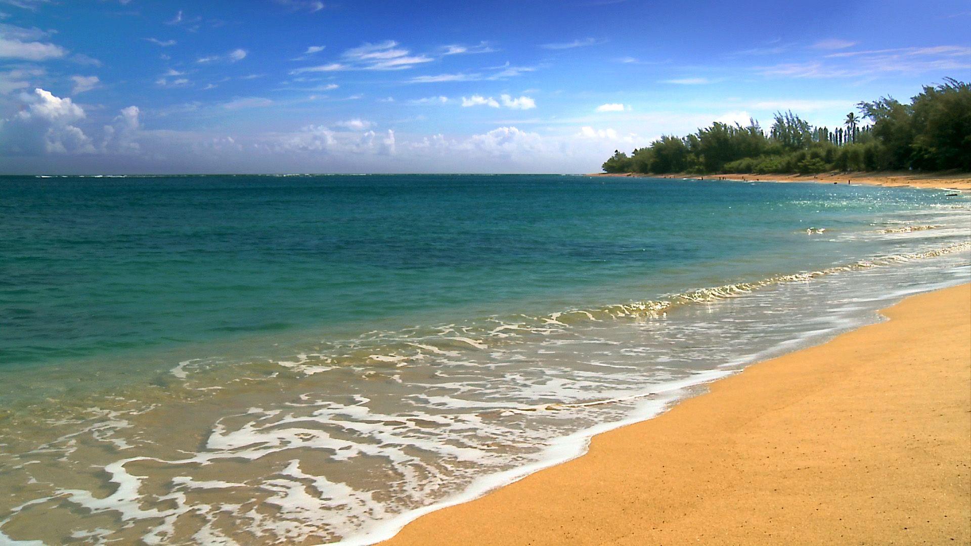 1920x1080 Free Wallpaper Beach Hawaii