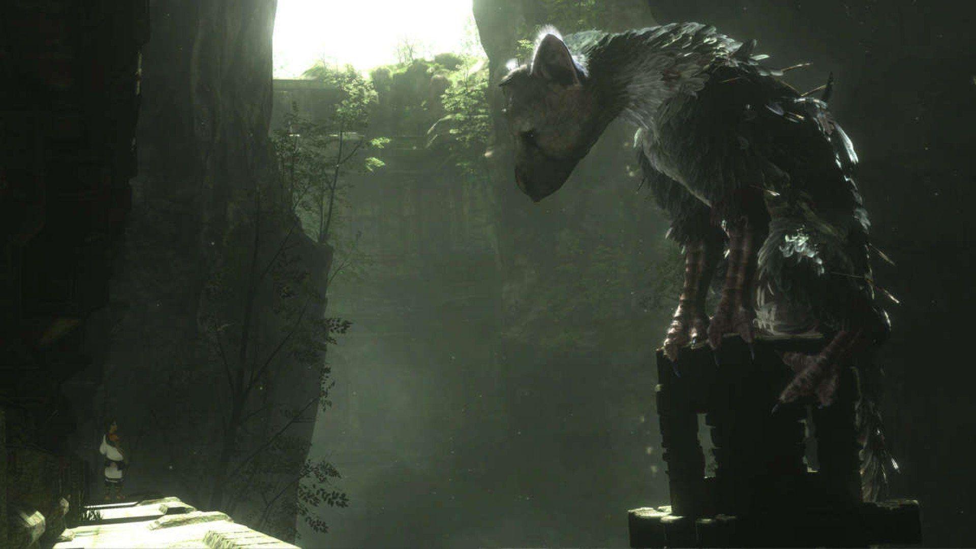 1920x1080 The Last Guardian Wallpaper