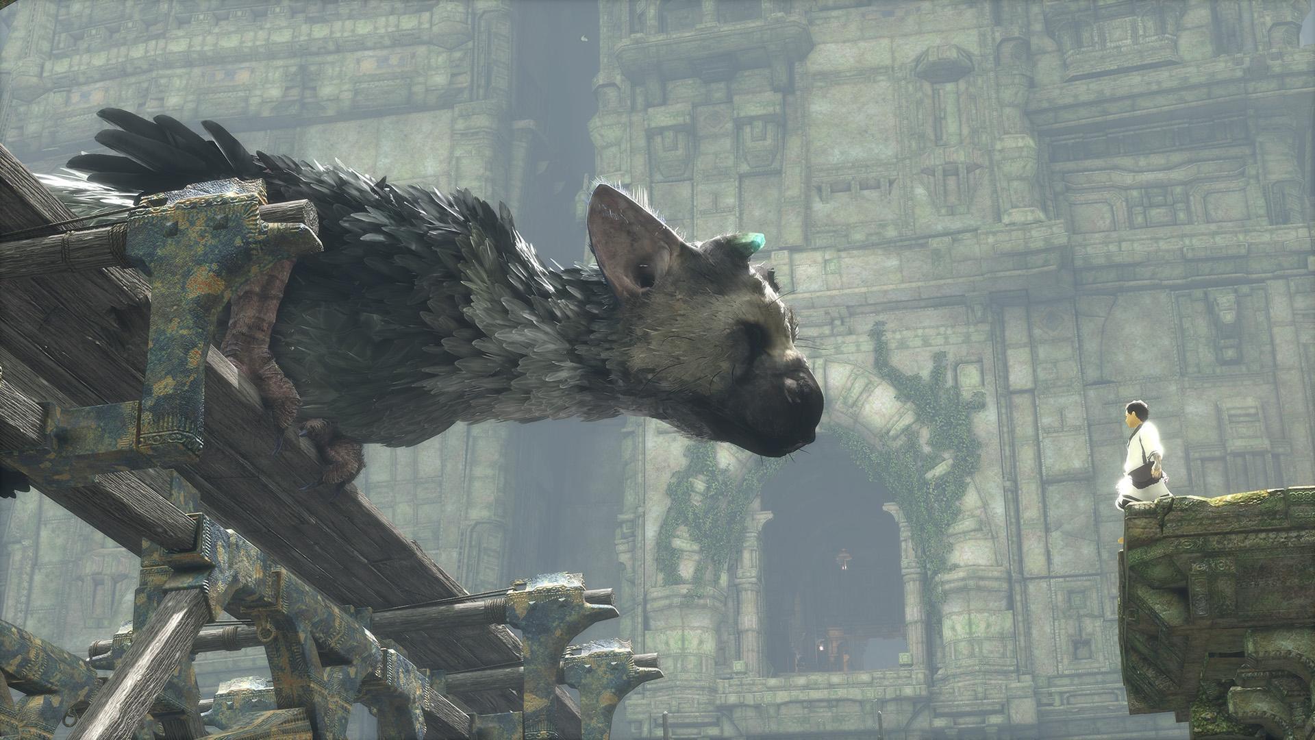 1920x1080 The Last Guardian 4 Edition: Computer and Video Games