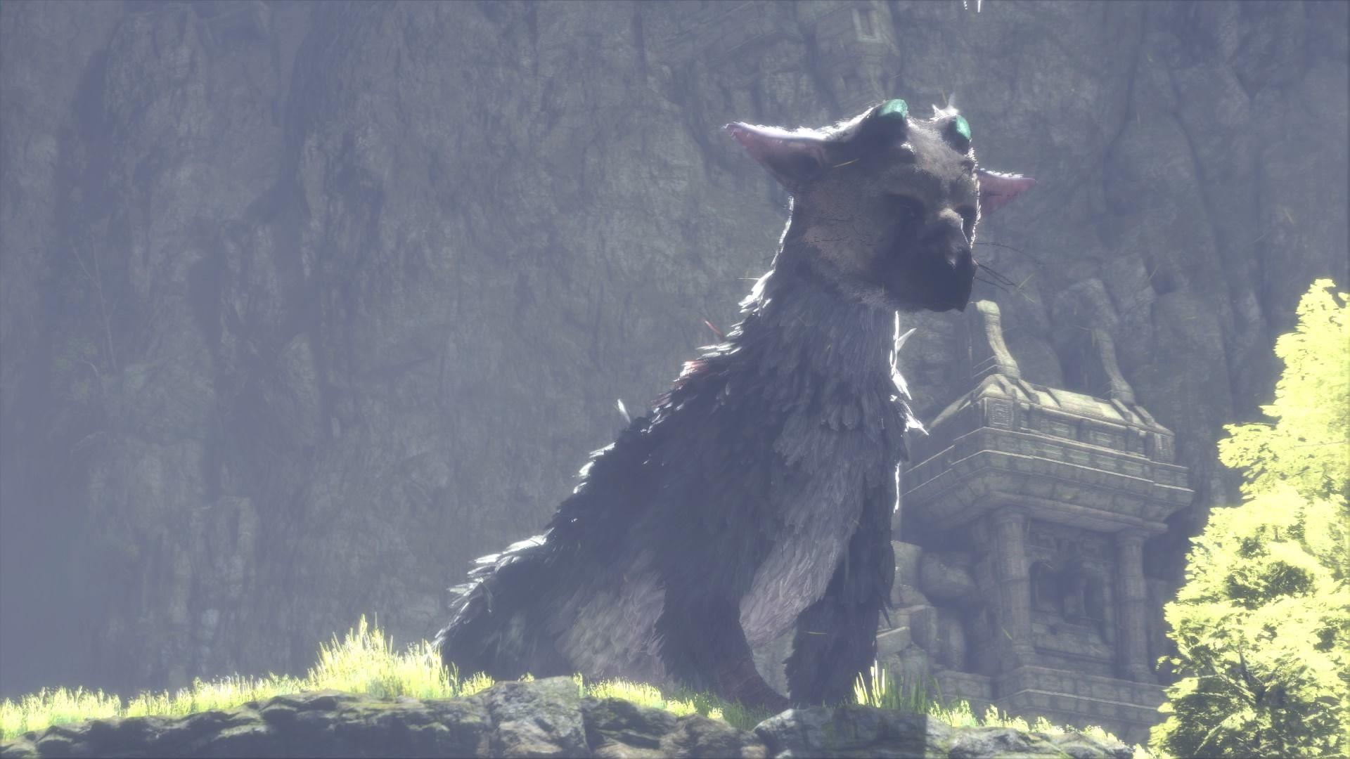 The Last Guardian HD Wallpapers - Top Free The Last Guardian HD ...