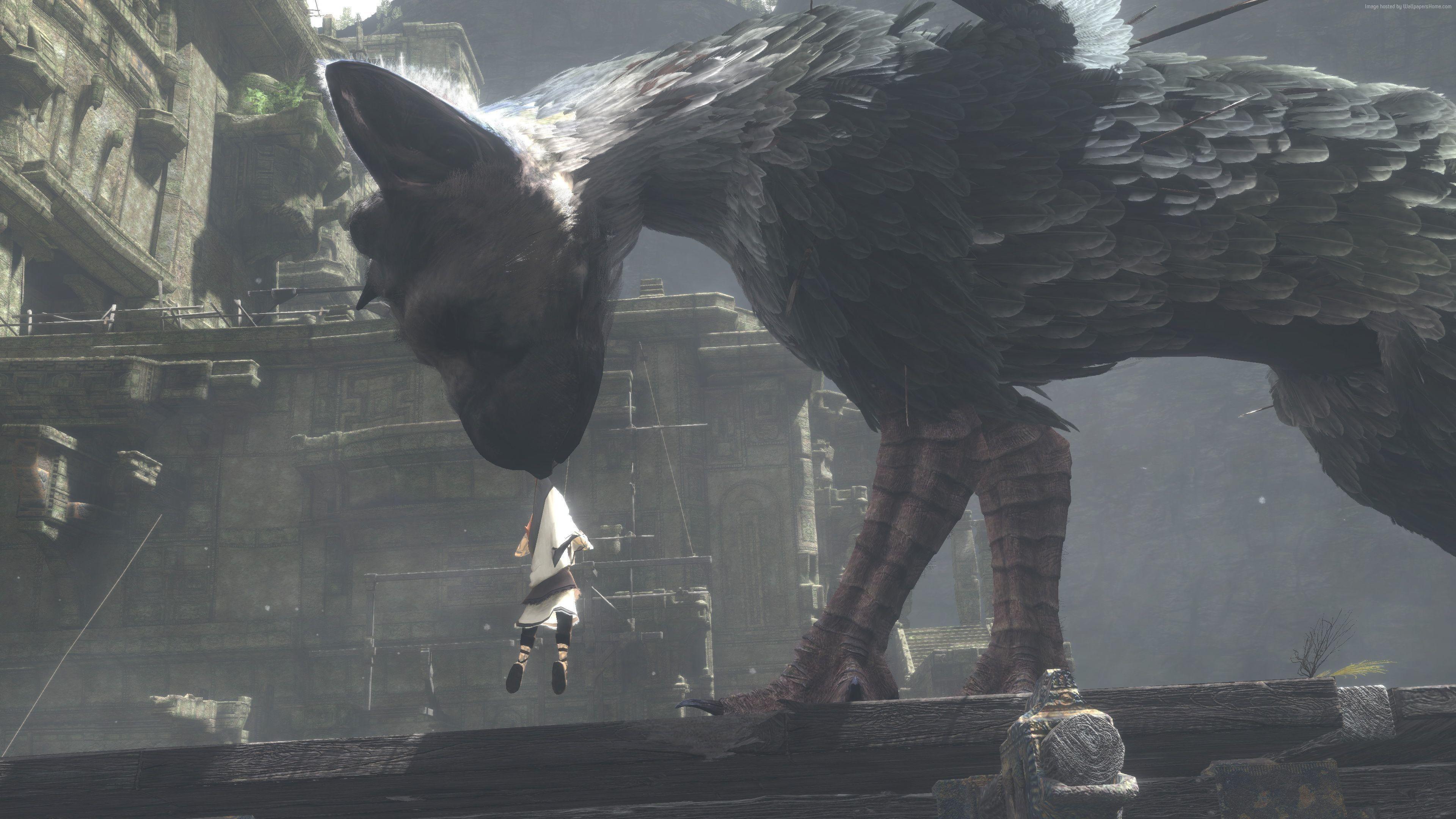 3840x2160 The Last Guardian Wallpaper. Guardian Angels Wallpaper, Woodland Guardian Anne Stokes Wallpaper and Guardian Angel Background