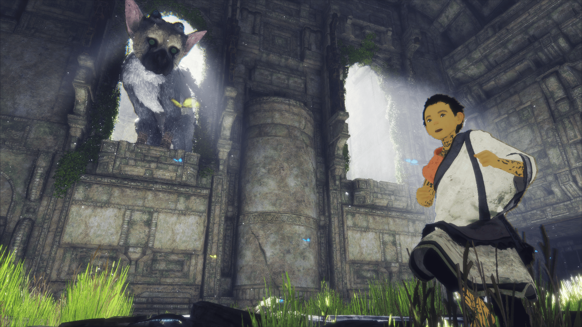1920x1080 Why I Love The Last Guardian