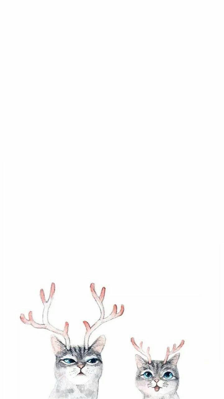 720x1280 Phone wallpaper. wallpaper. Wallpaper, Phone