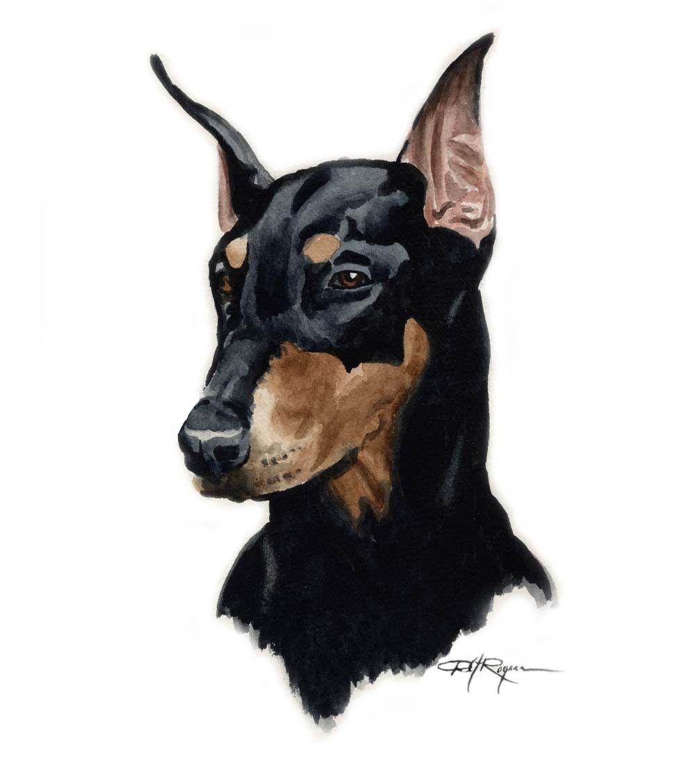 1000x1095 Drawn Doberman Pinscher dog photo and wallpaper. Beautiful Drawn Doberman Pinscher dog picture