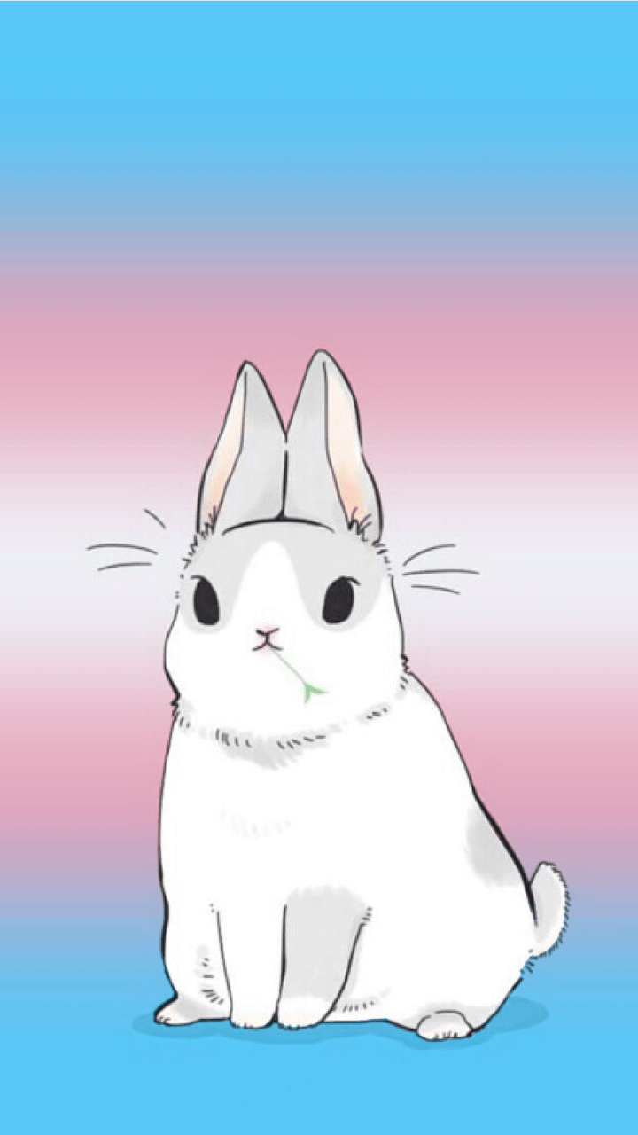 720x1280 url change
