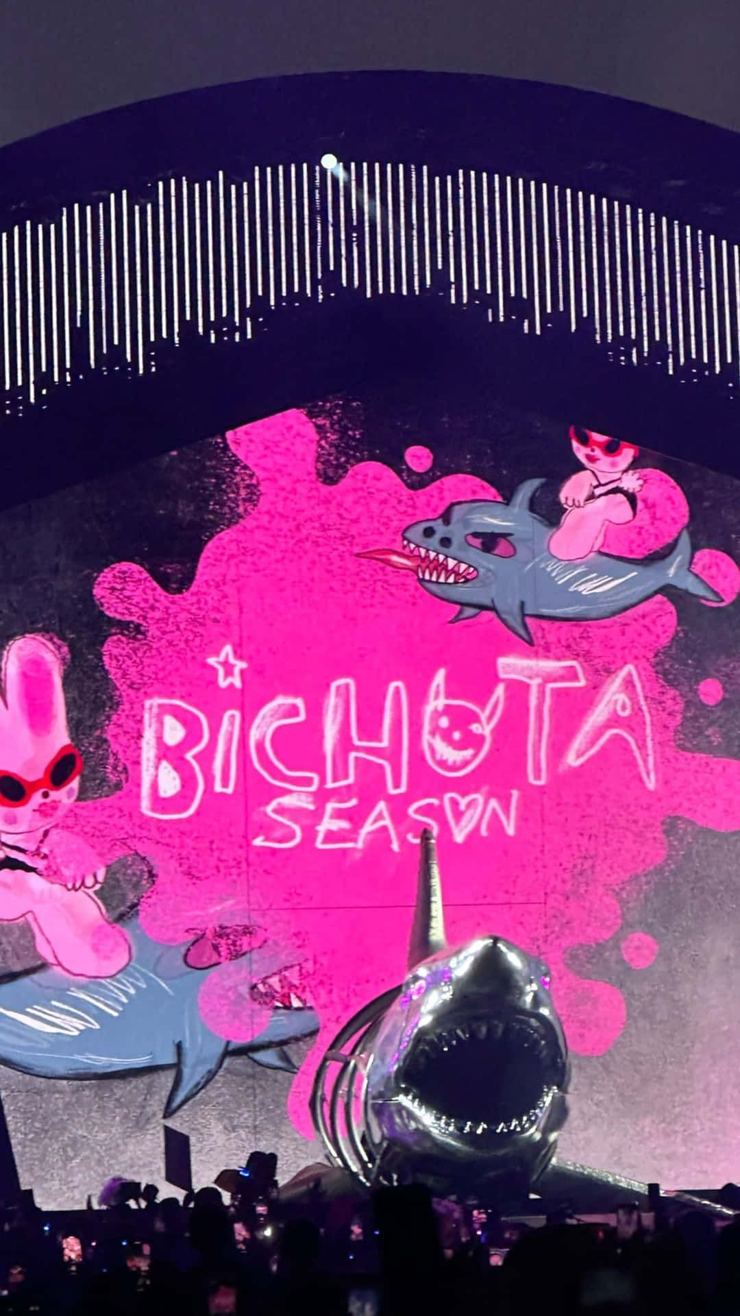 1080x1920 Descargar fondos de Fondo De Concierto Temporada Bichota