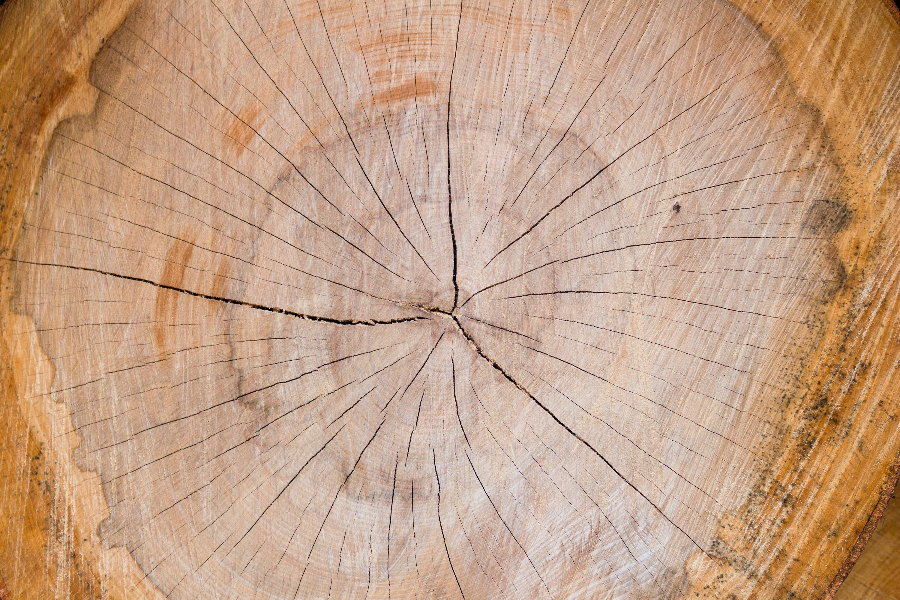 3000x2000 Brown wood slab photo