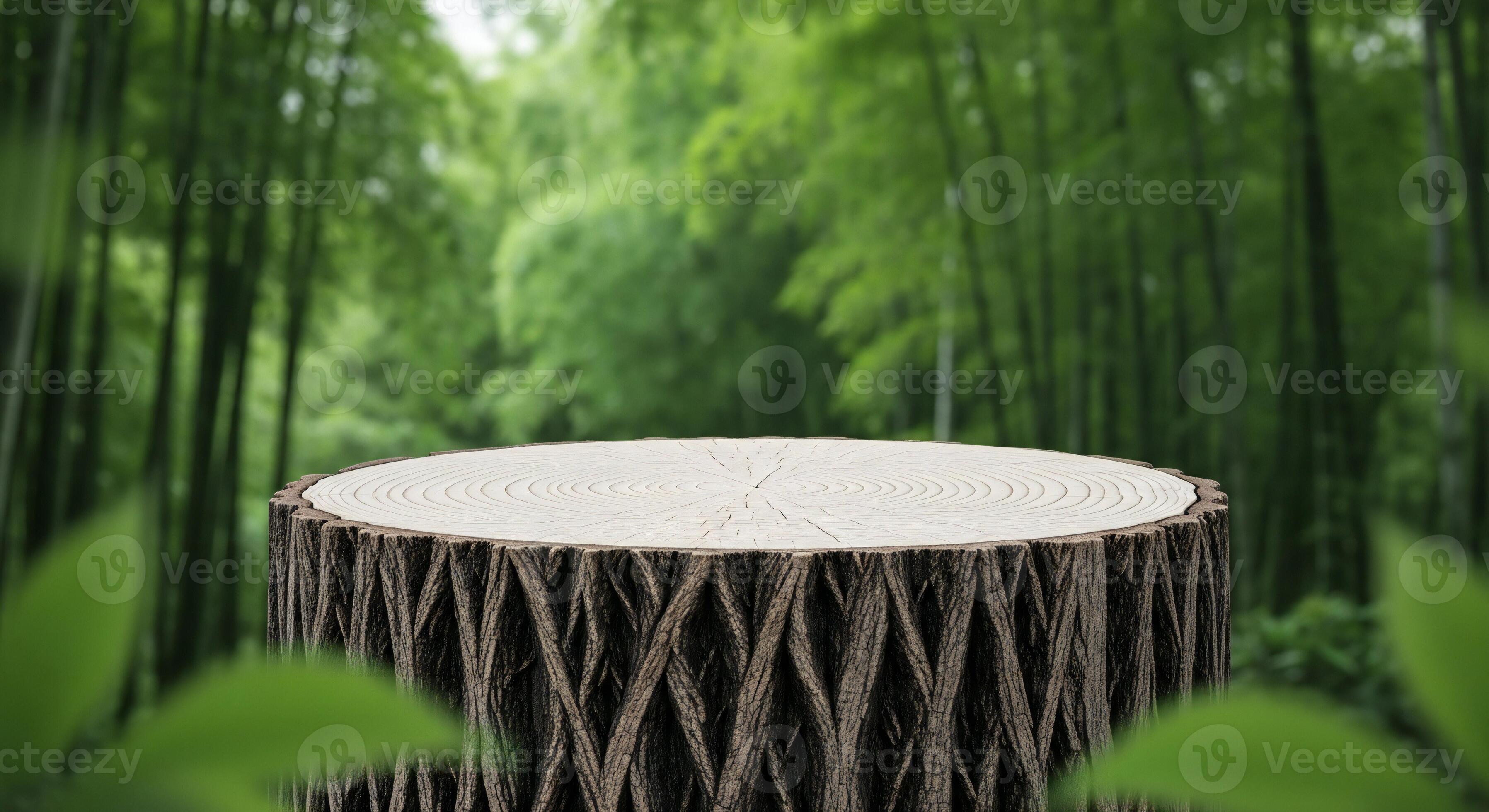 3593x1960 Nature background, Nature wallpaper, A rustic wooden tree stump with a textured bark surface sits in a blurred green forest