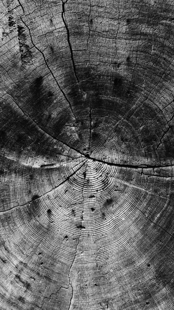 736x1308 Wood Line Texture Old Dark Pattern Bw iPhone 8 Wallpaper