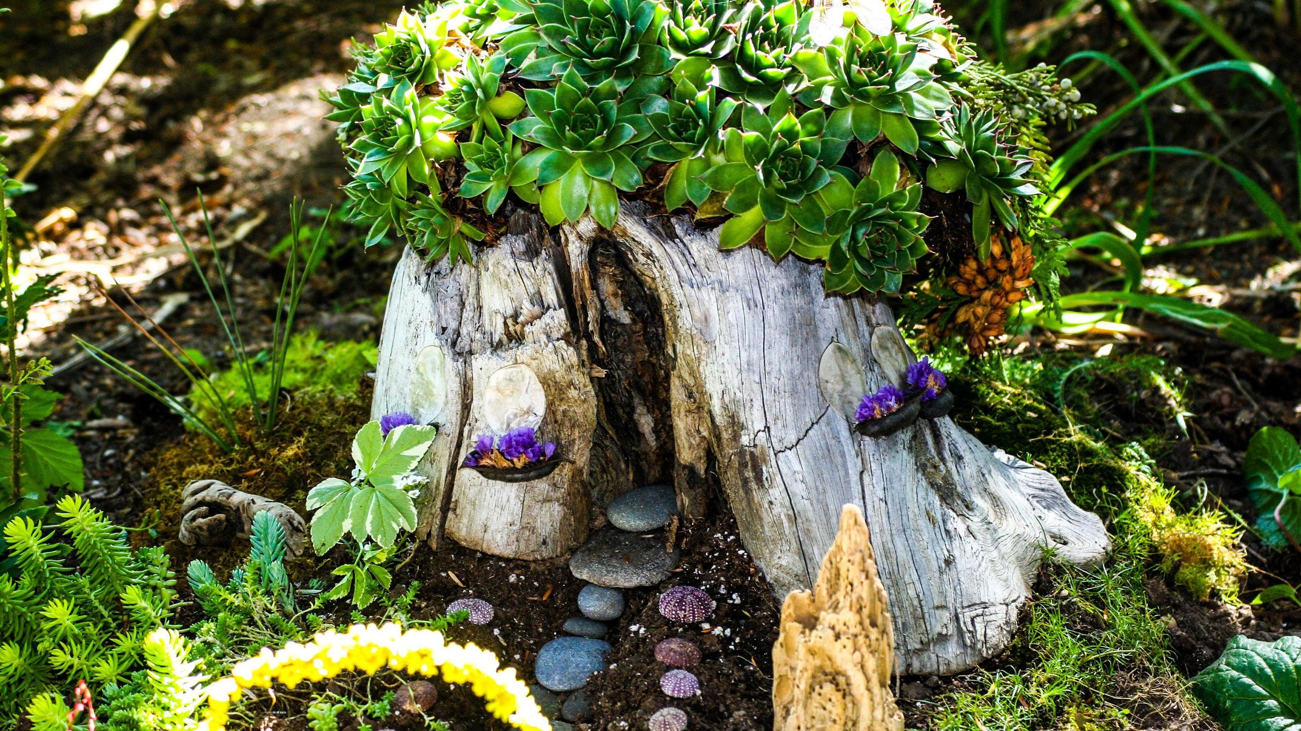 2560x1440 Tree stump ideas: 9 creative ways to give them a new lease of life