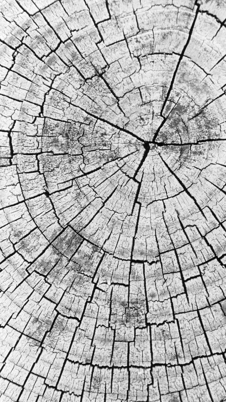 736x1308 Abstract Wood Pile Head Texture Background iPhone Wallpaper. Wood iphone wallpaper 4k, Wood wallpaper for