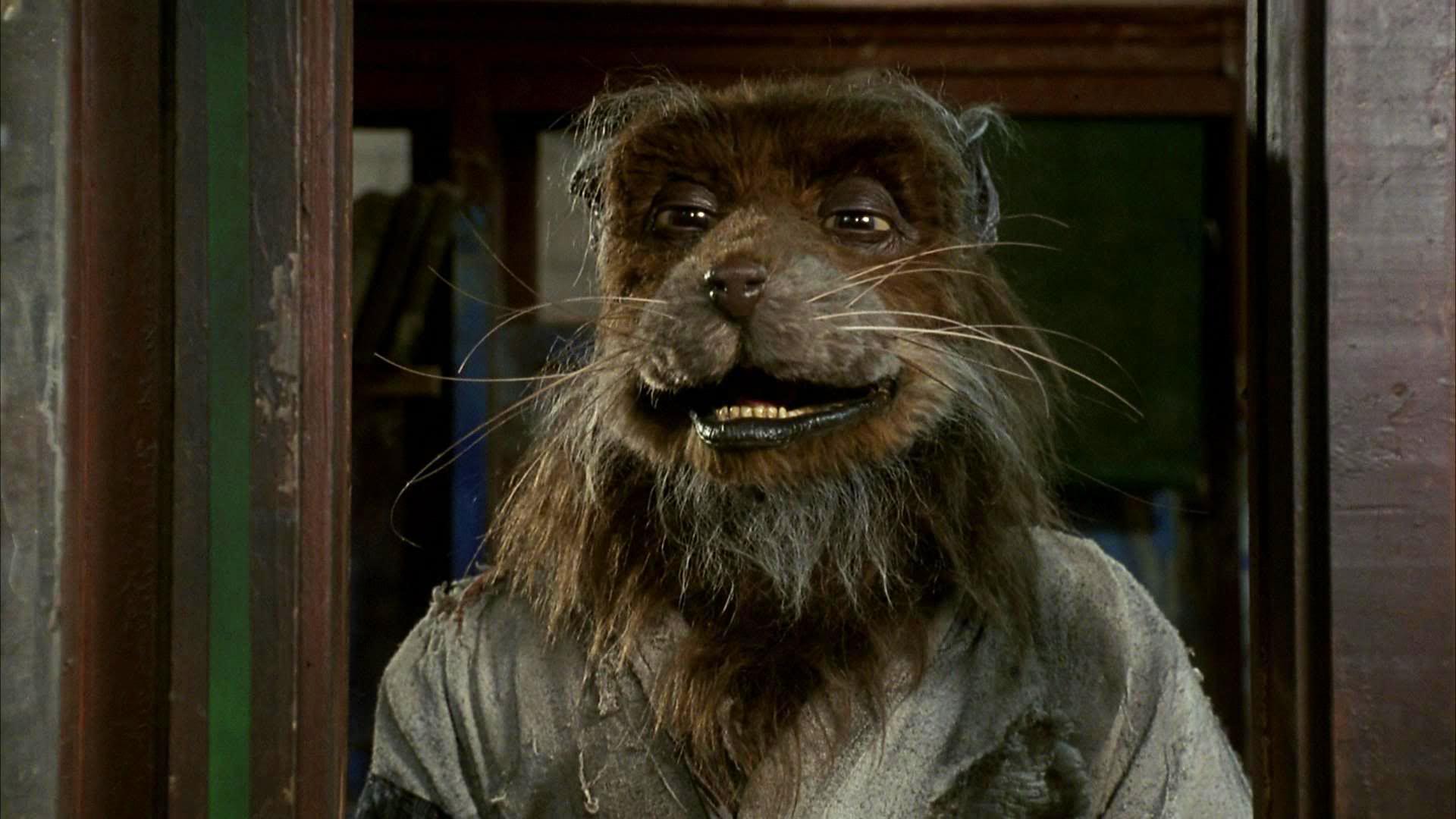 1920x1080 Master Splinter may be Old, but he can Still Kick Your Ass. The Doderman Defense