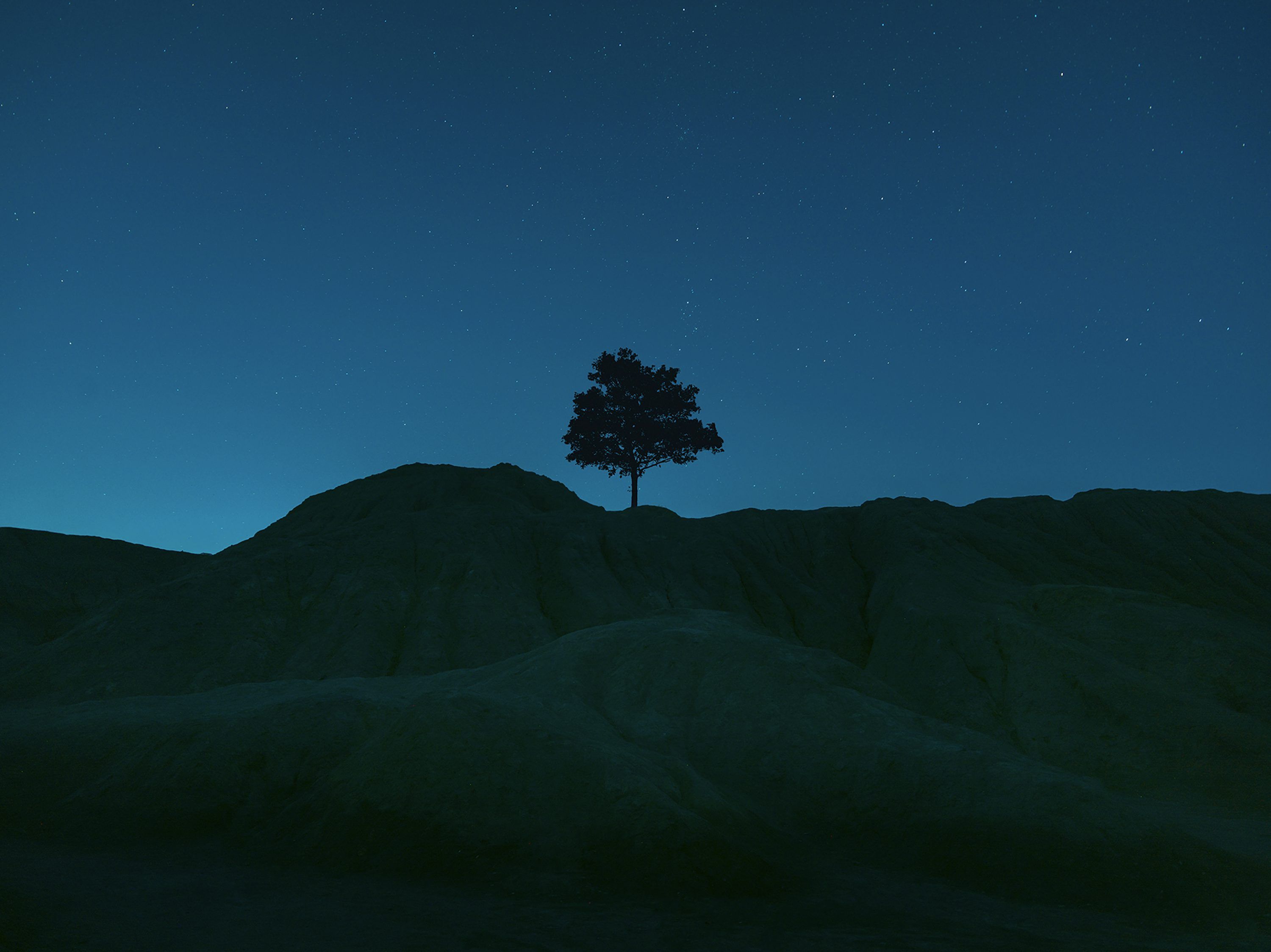 3000x2248 Tree on top of mountain during night time photo