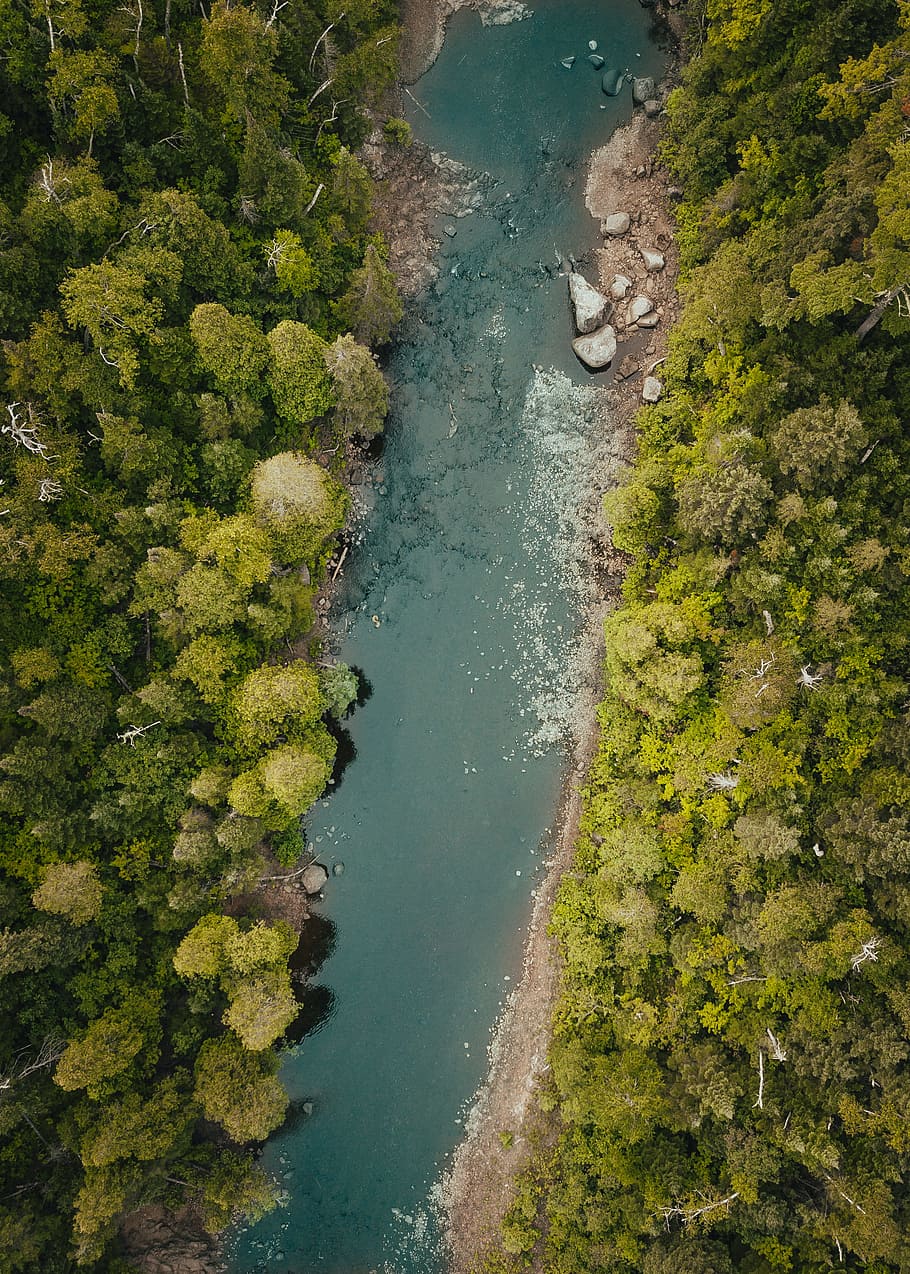 910x1274 Minnesotum 1080P, 2K, 4K, 5K HD wallpaper free download