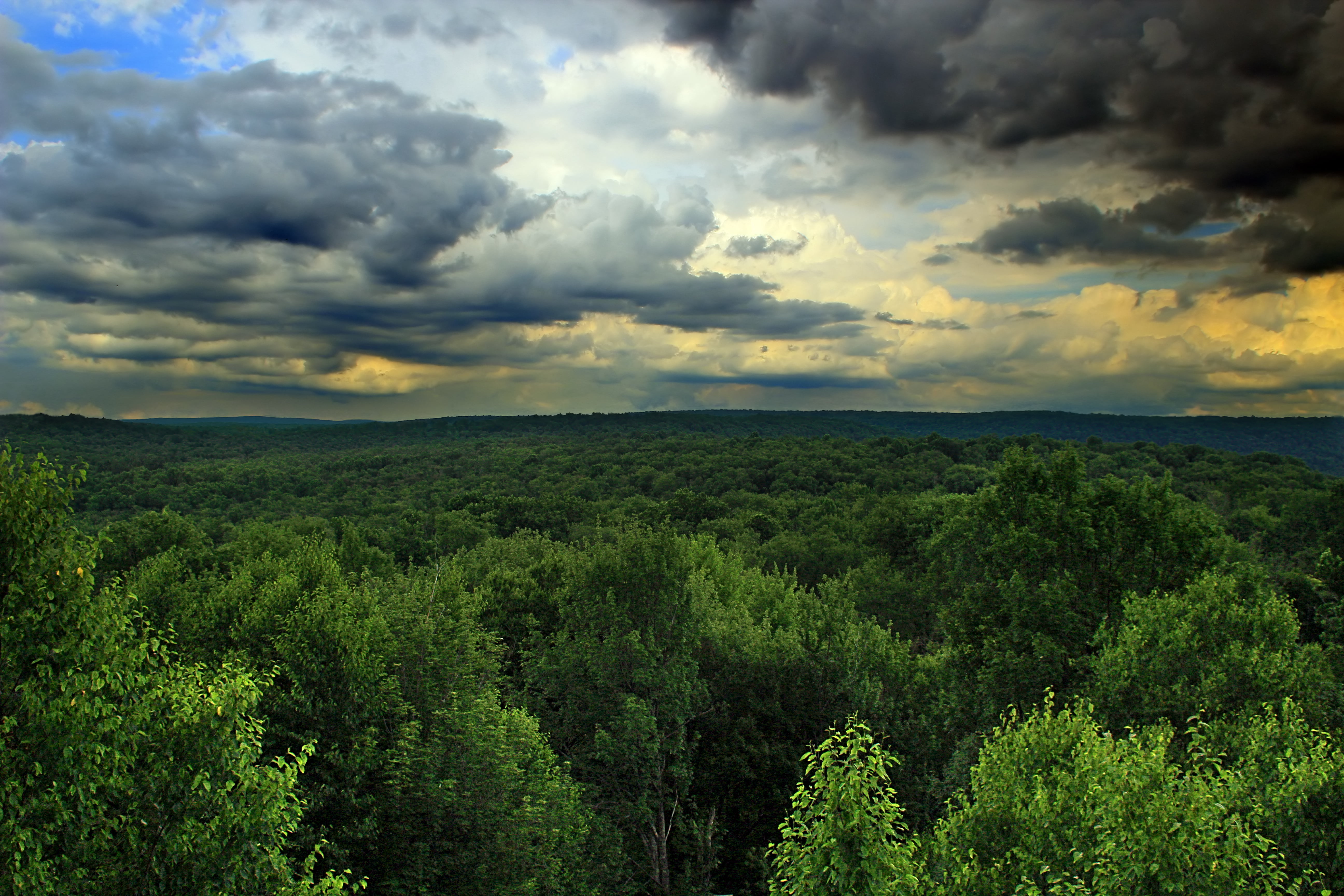 5184x3456 Top view of forest HD wallpaper