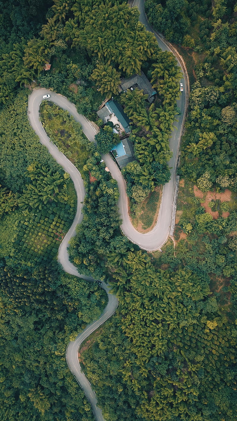 800x1423 Road, top view, forest, trees, HD phone wallpaper