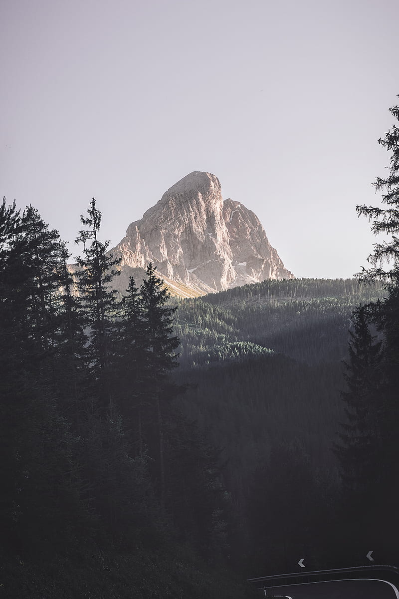 800x1200 Top Of The World, landscape, mountain, tree, view, HD wallpaper