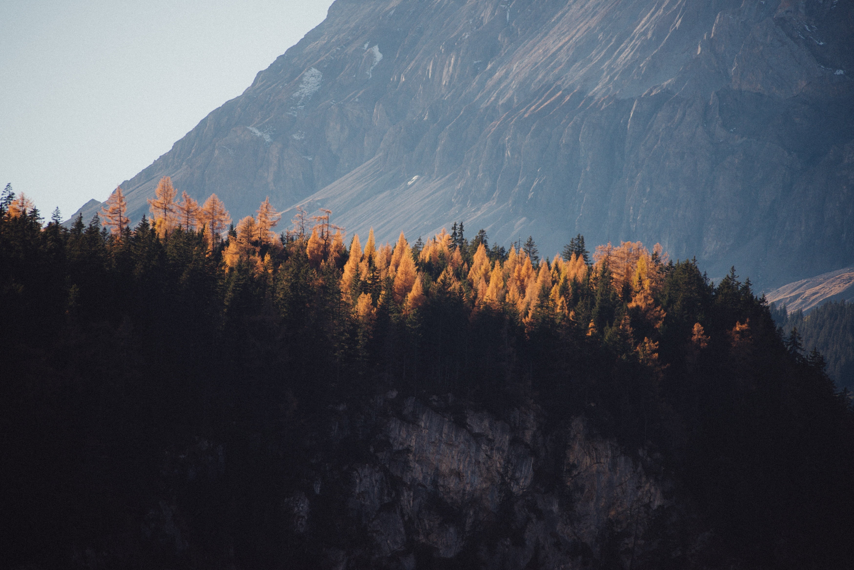 3500x2336 Royalty Free Photo: Trees On Top Of Mountain