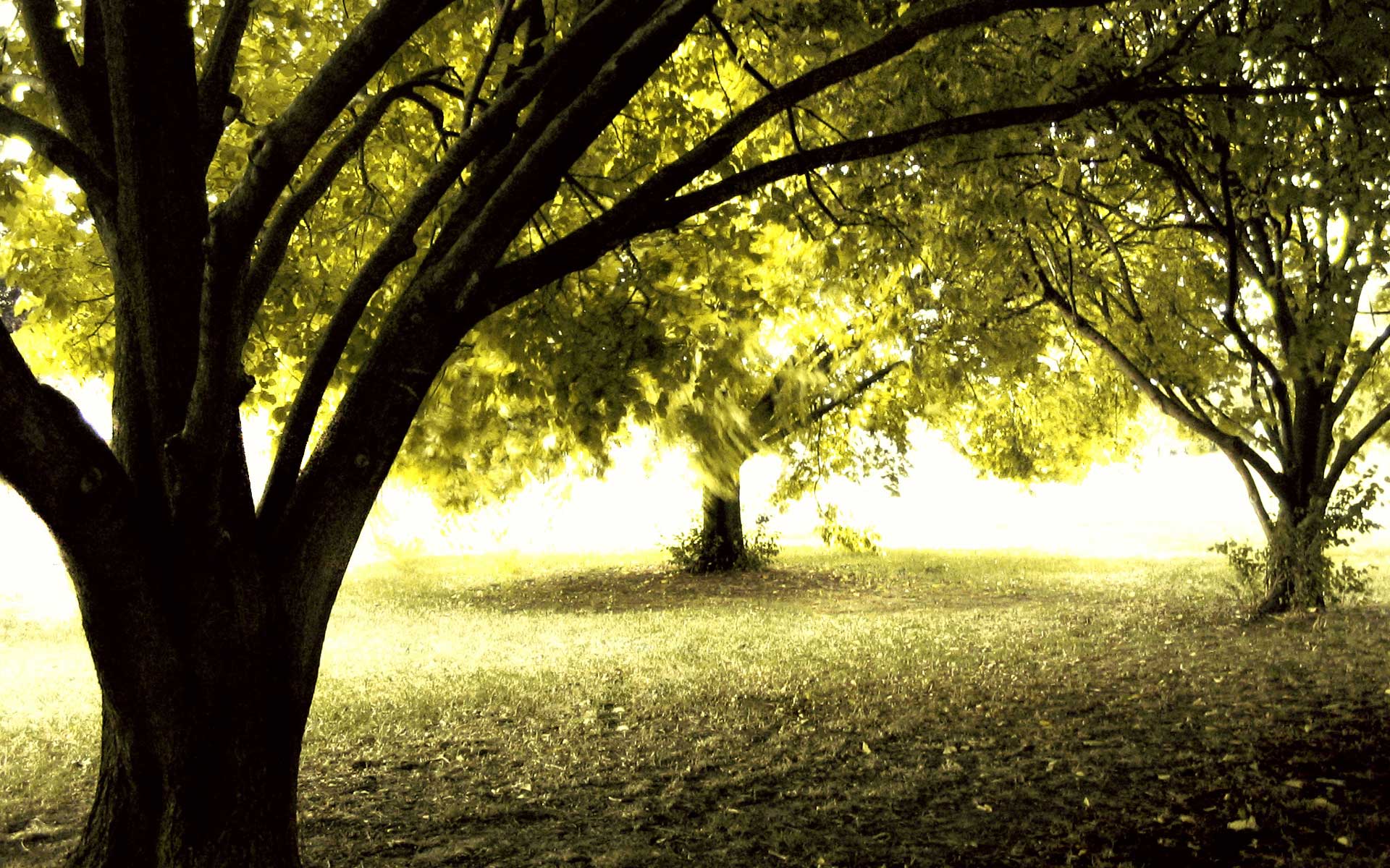 1920x1200 