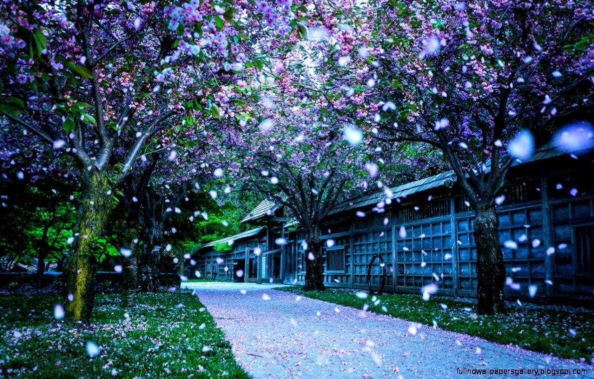 1190x760 Beautiful Street Wallpaper Free HD Desktop. Full HD Wallpaper