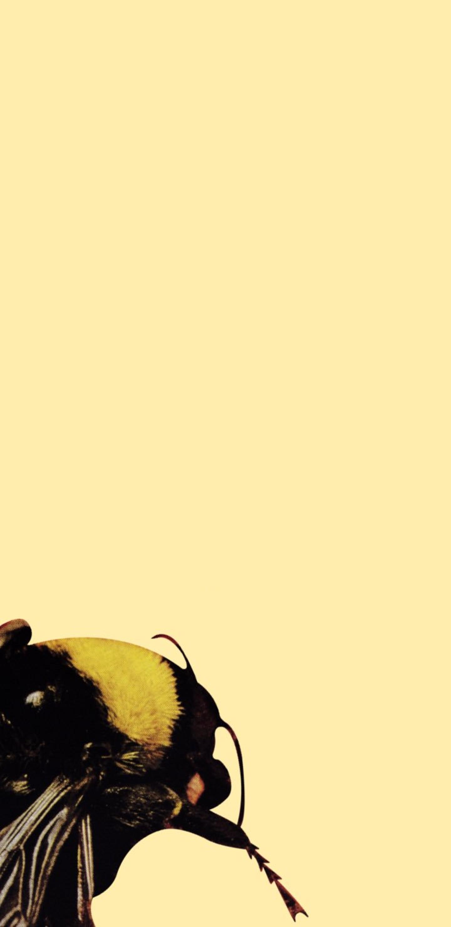 1440x2960 Tyler Wallpaper