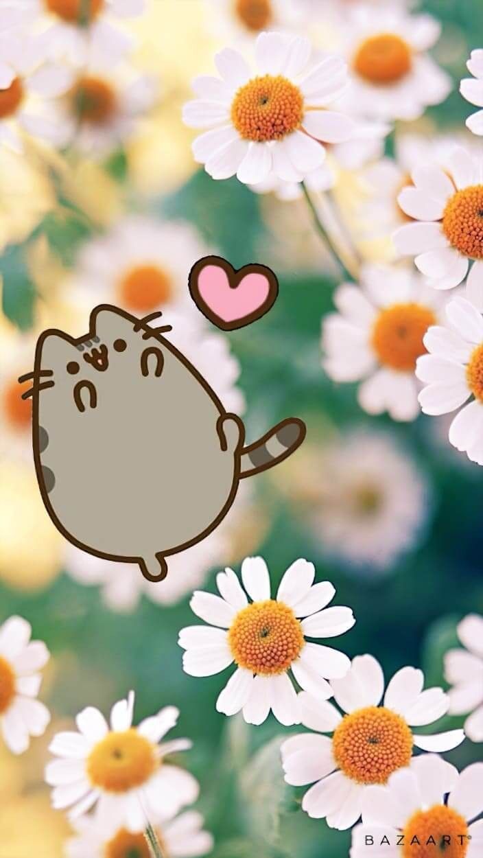 704x1250 Pusheen
