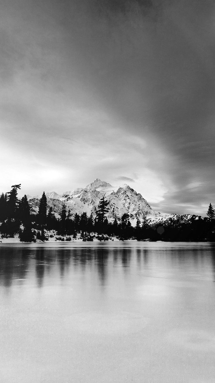 736x1308 Frozen Lake Winter Snow Wood Forest Cold Bw Dark iPhone 8 Wallpaper