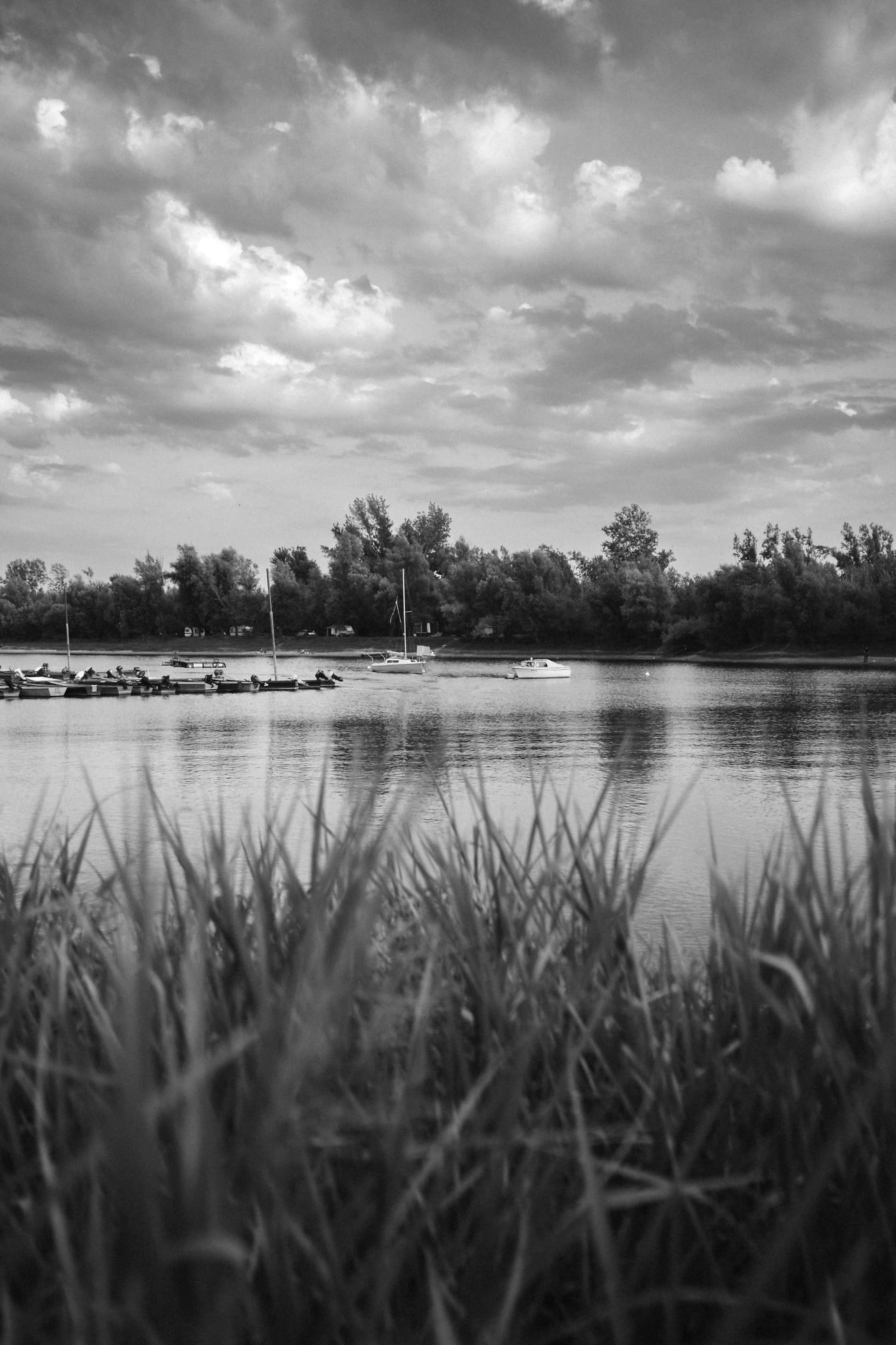 1344x2016 Free picture: Black and white vertical landscape photography, a lakeside with marina on a lake