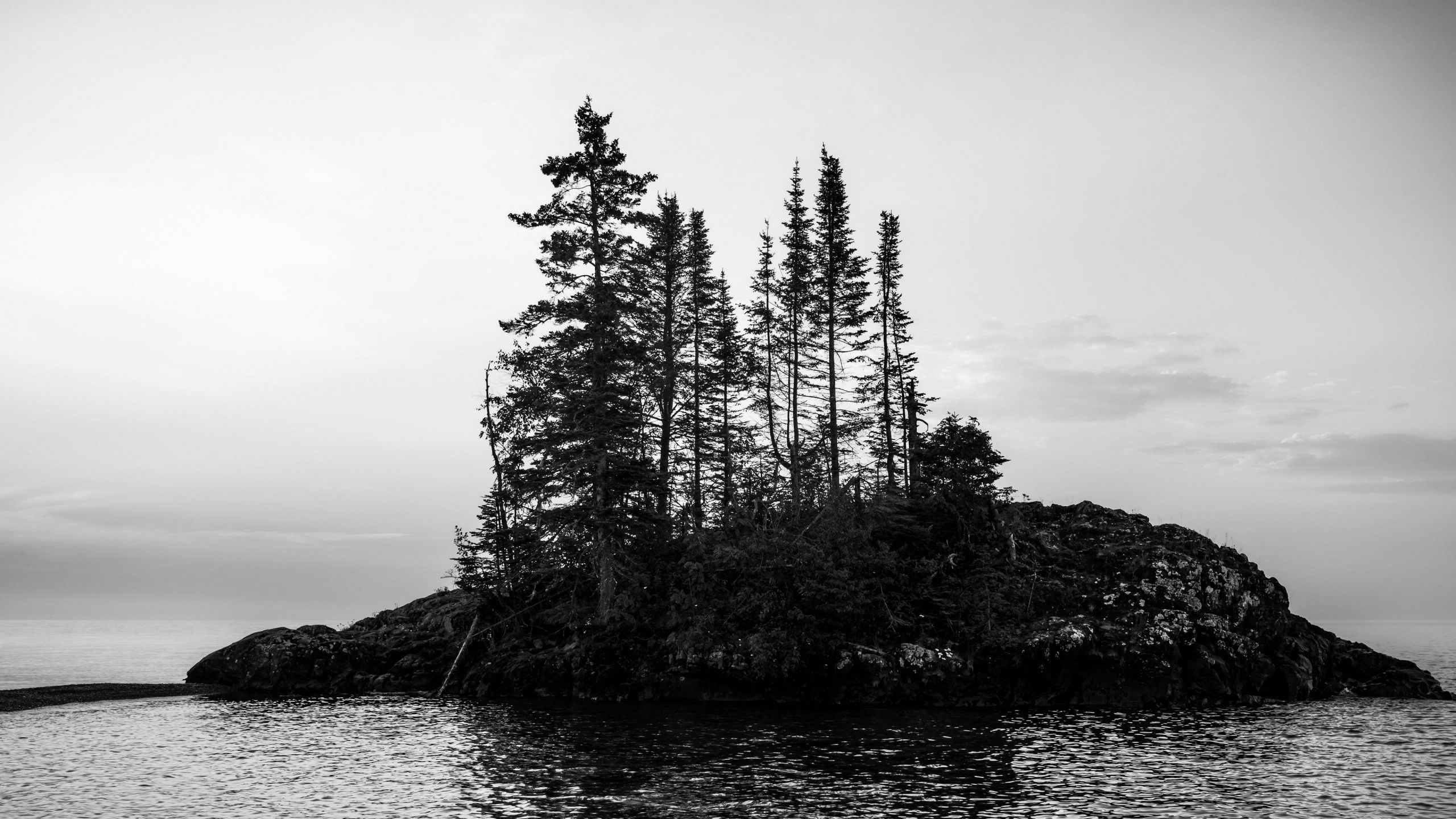 2560x1440 Island Trees Ocean Water Black And White Sky Nature Background 4K HD Nature Wallpaper