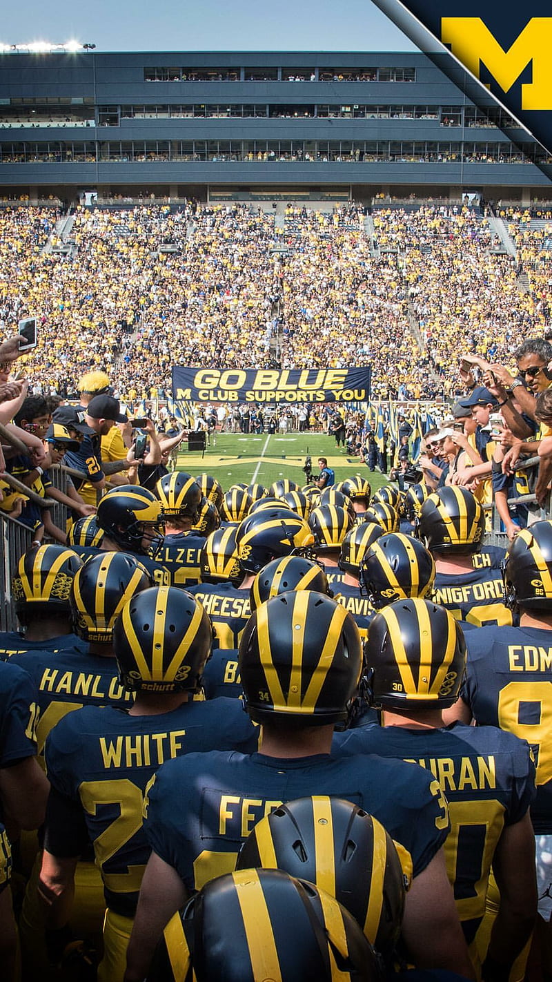 800x1422 Michigan Football, big house, michigan wolverines, ncaaf, u of m, wolverines, HD phone wallpaper