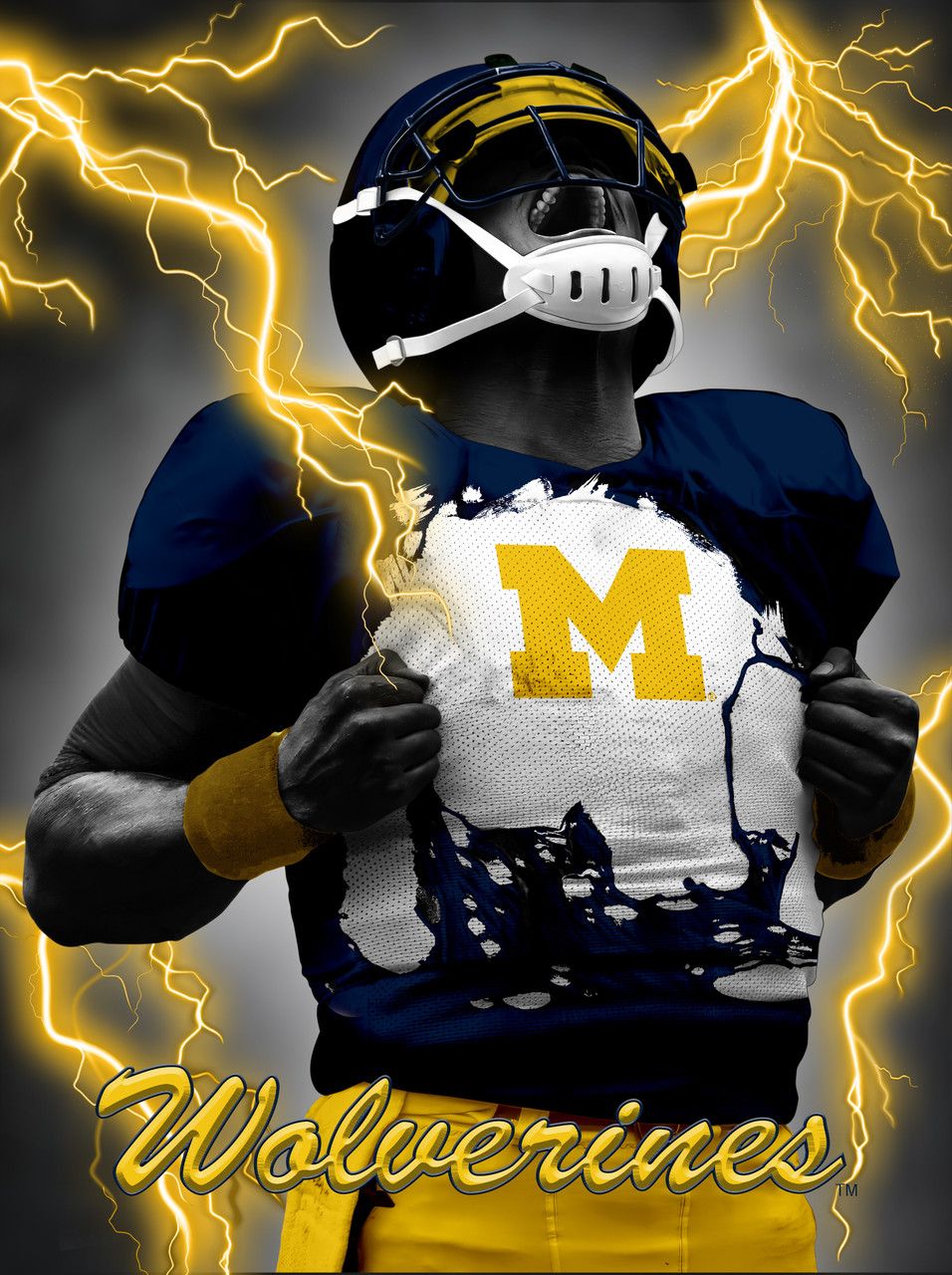956x1280 Michigan Wolverines 3D Art Print 12x16 Super Player
