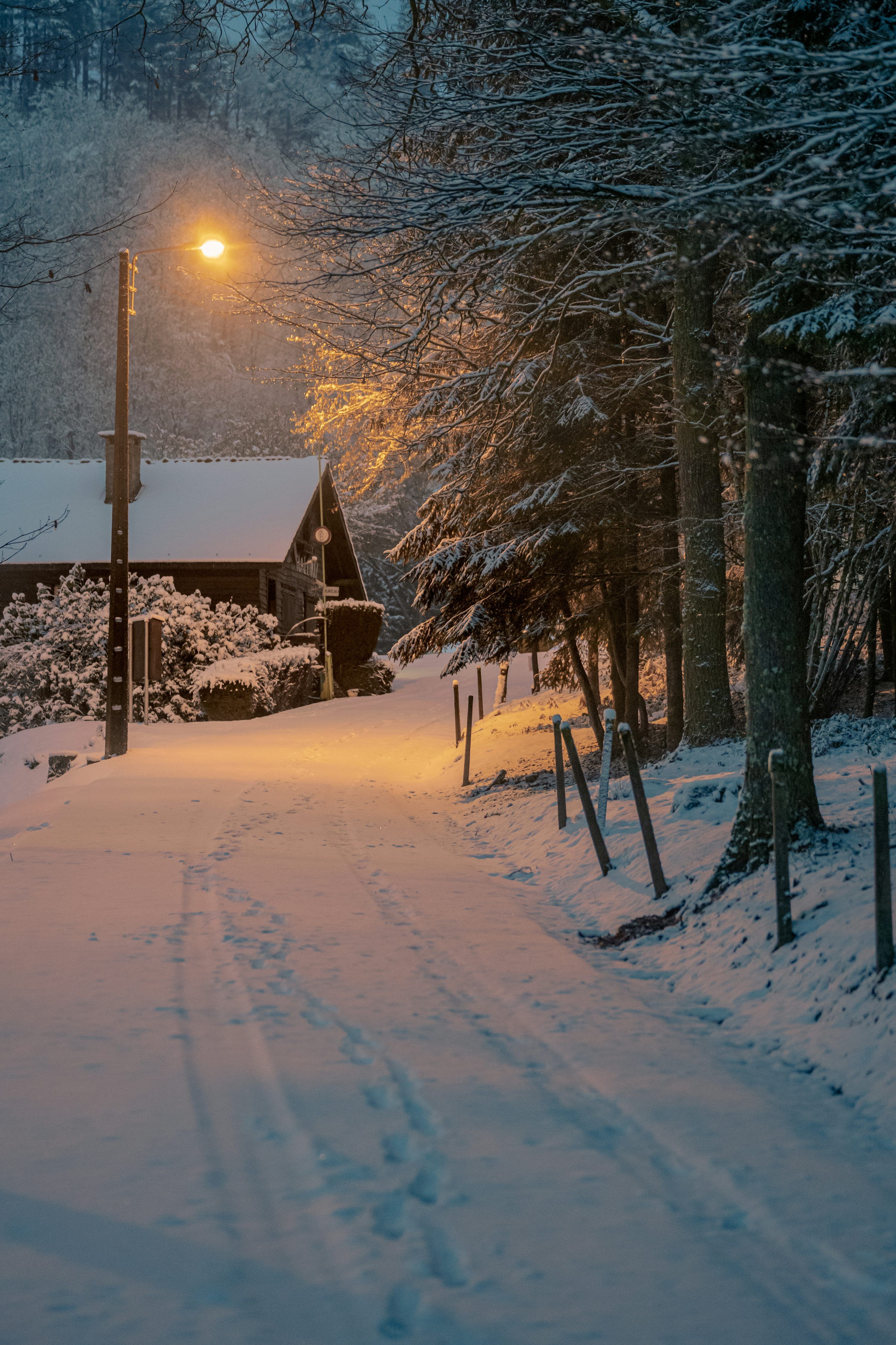 3000x4500 Snowy Night Picture. Download Free Image
