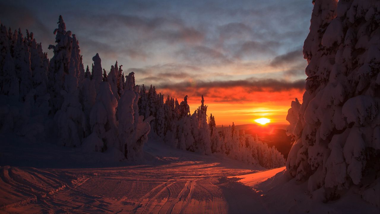 1280x720 Wallpaper forest, sunset, winter, landscape, slope, snowy hd, picture, image