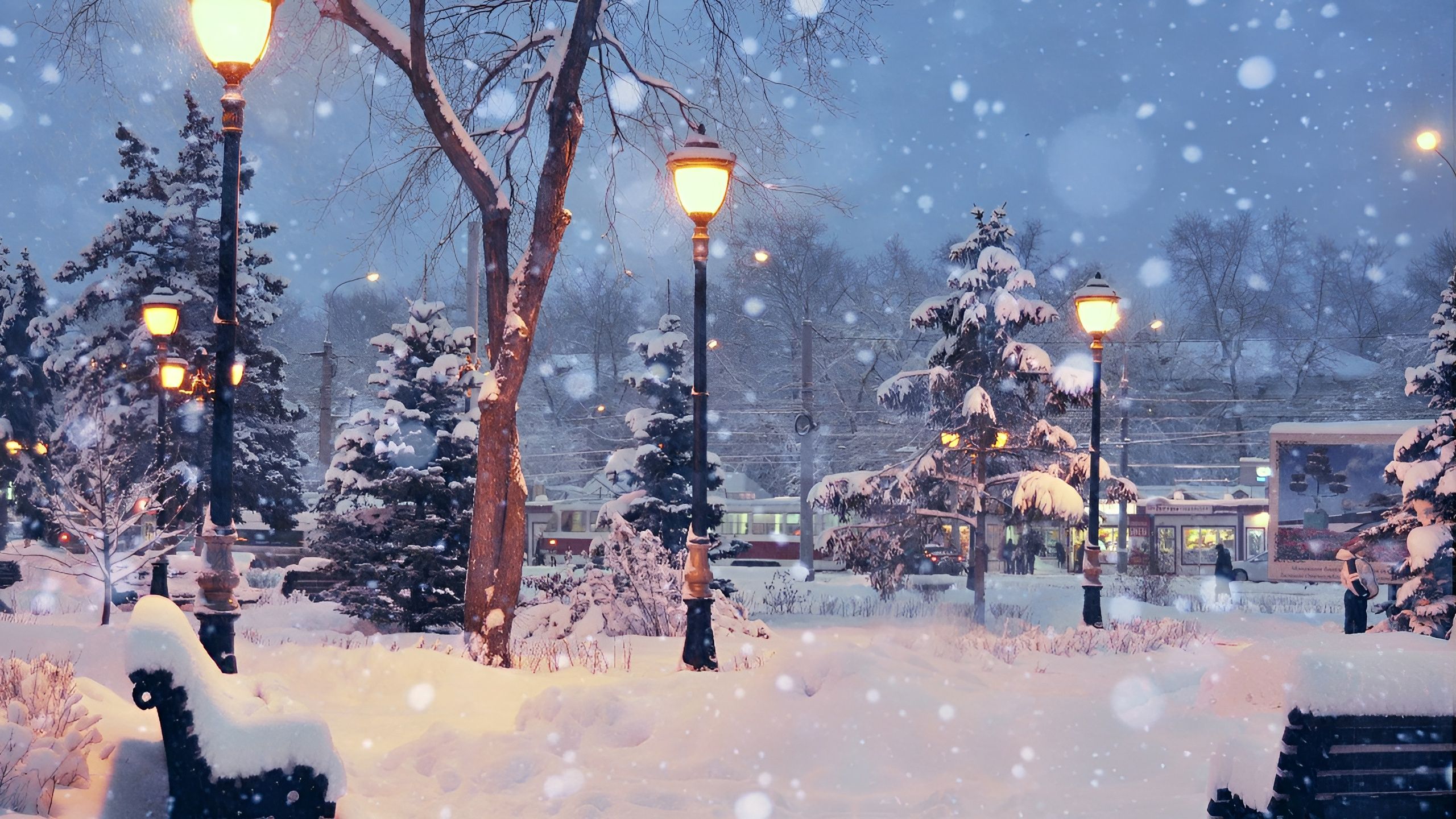 2560x1440 Wallpaper city, the city, Winter evening, Snow Trees, Winter Evening, Snowy Trees for mobile and desktop, section пейзажи, resolution 2560x1440