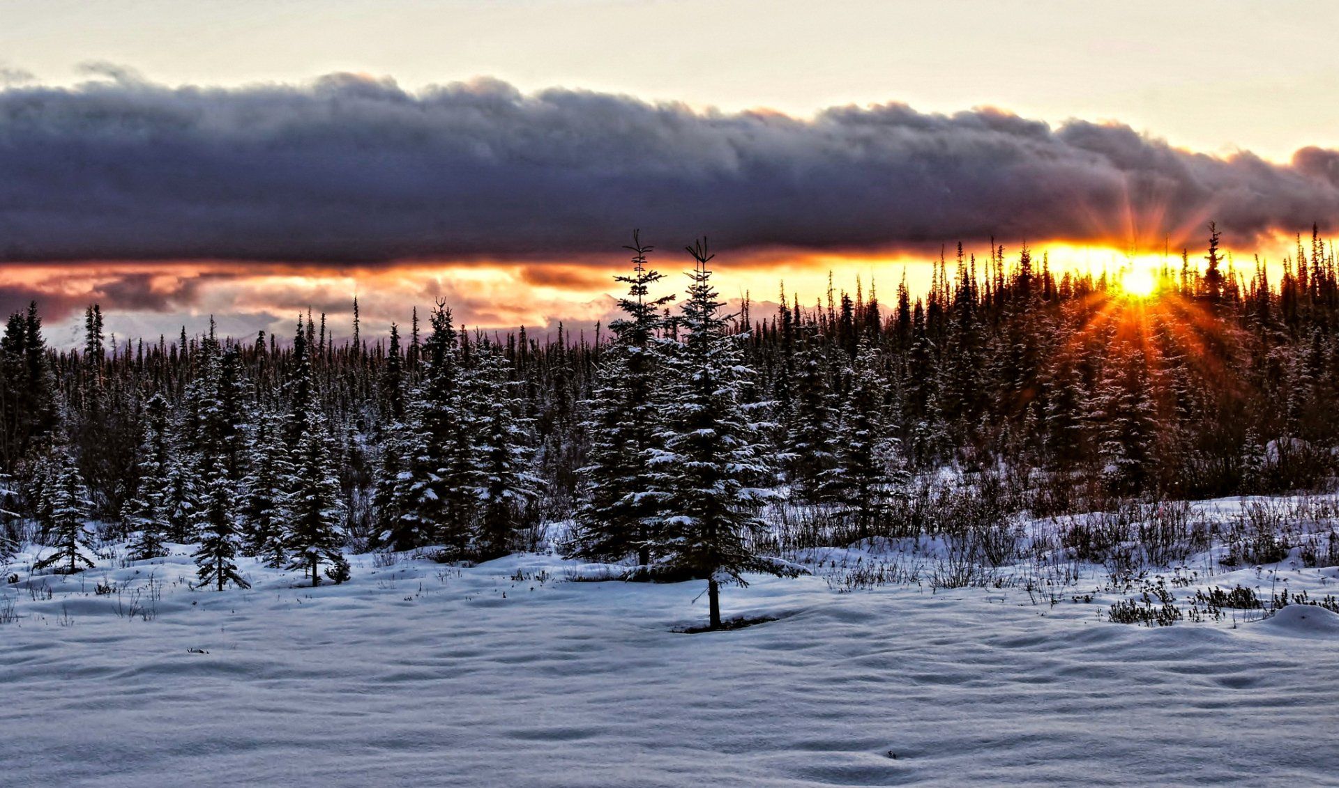 1920x1131 Alaskan Winter Sunset: Snowy Forest Sunbeams Through Clouds