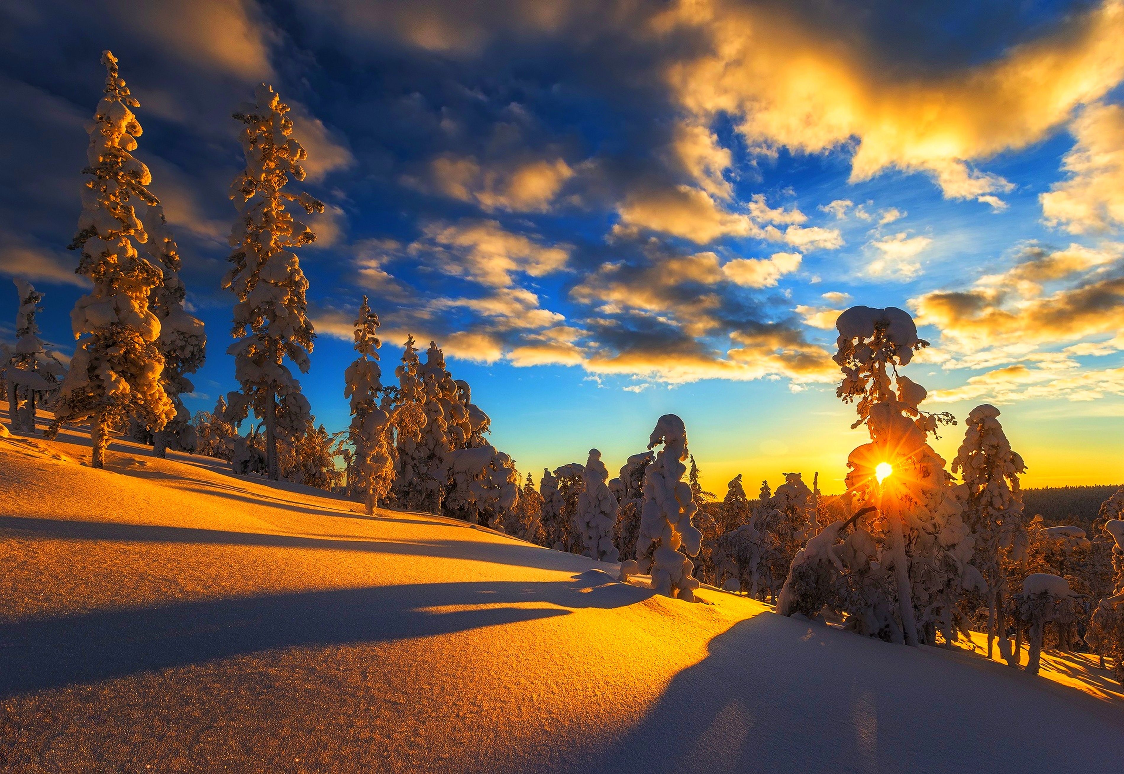 3800x2616 Beautiful sunrise of a bright winter sun over a snowy forest Desktop wallpaper 1152x864