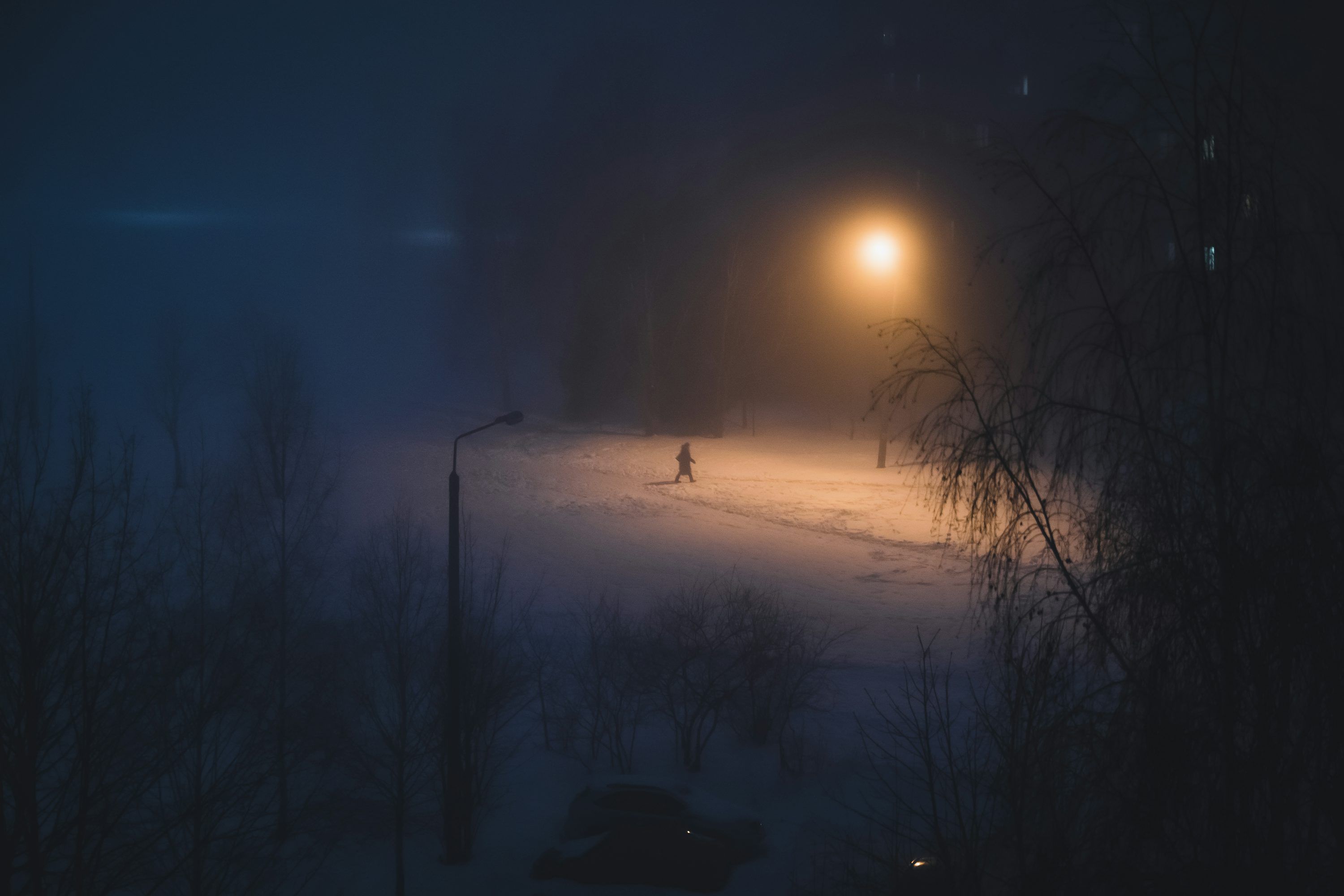 3000x2000 Snowy Night Picture. Download Free Image