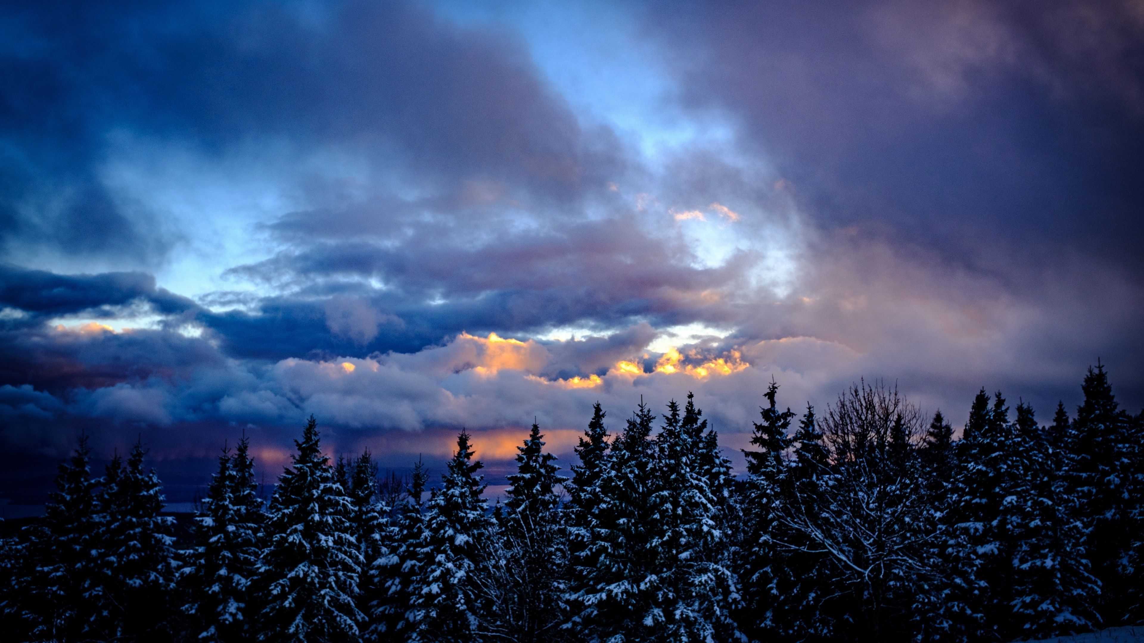 3840x2160 Snowy Trees Wallpaper 4K, Winter, Cloudy Sky, Dusk, Scenic