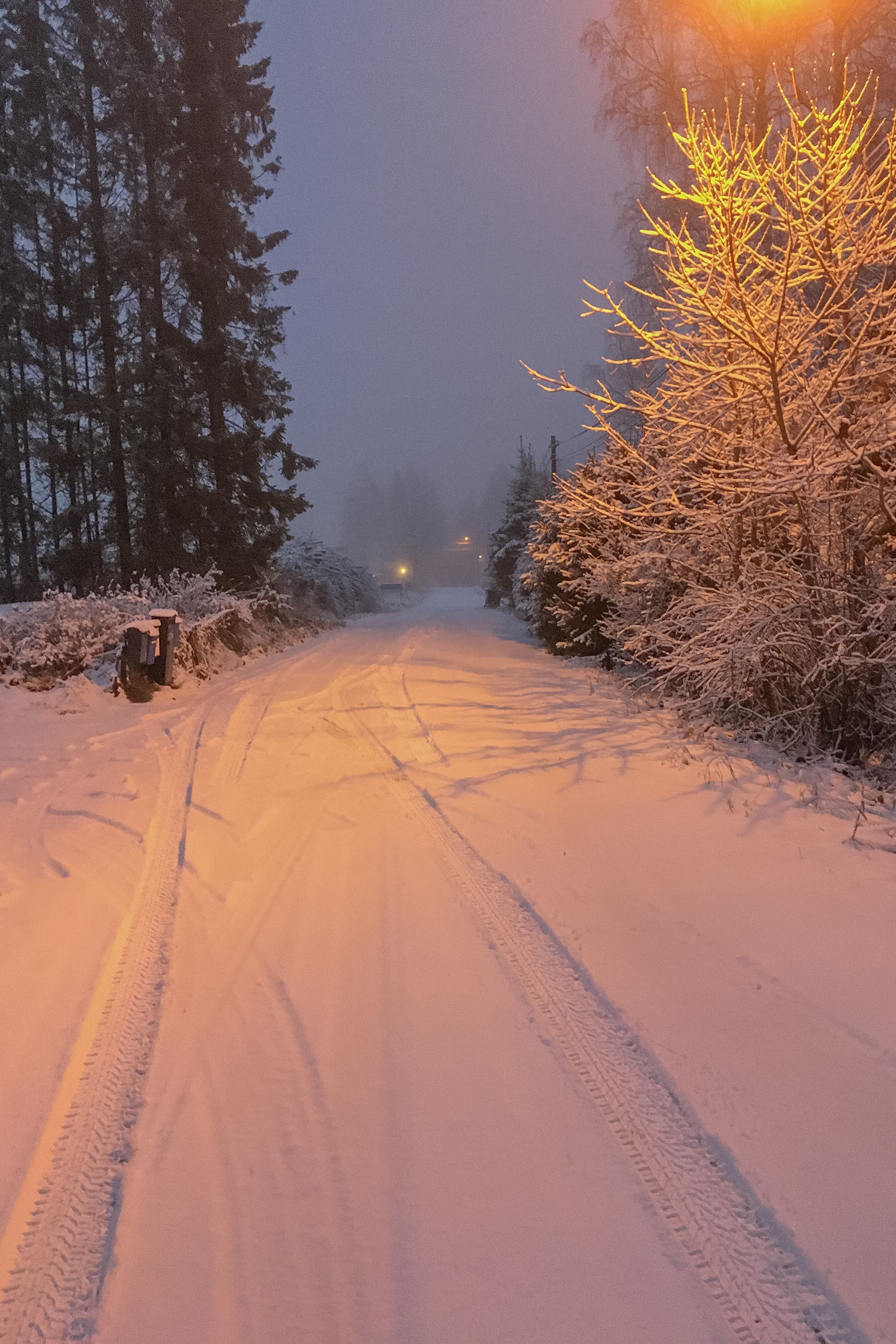 2688x4032 Winter Evening Photo, Download The BEST Free Winter Evening & HD Image