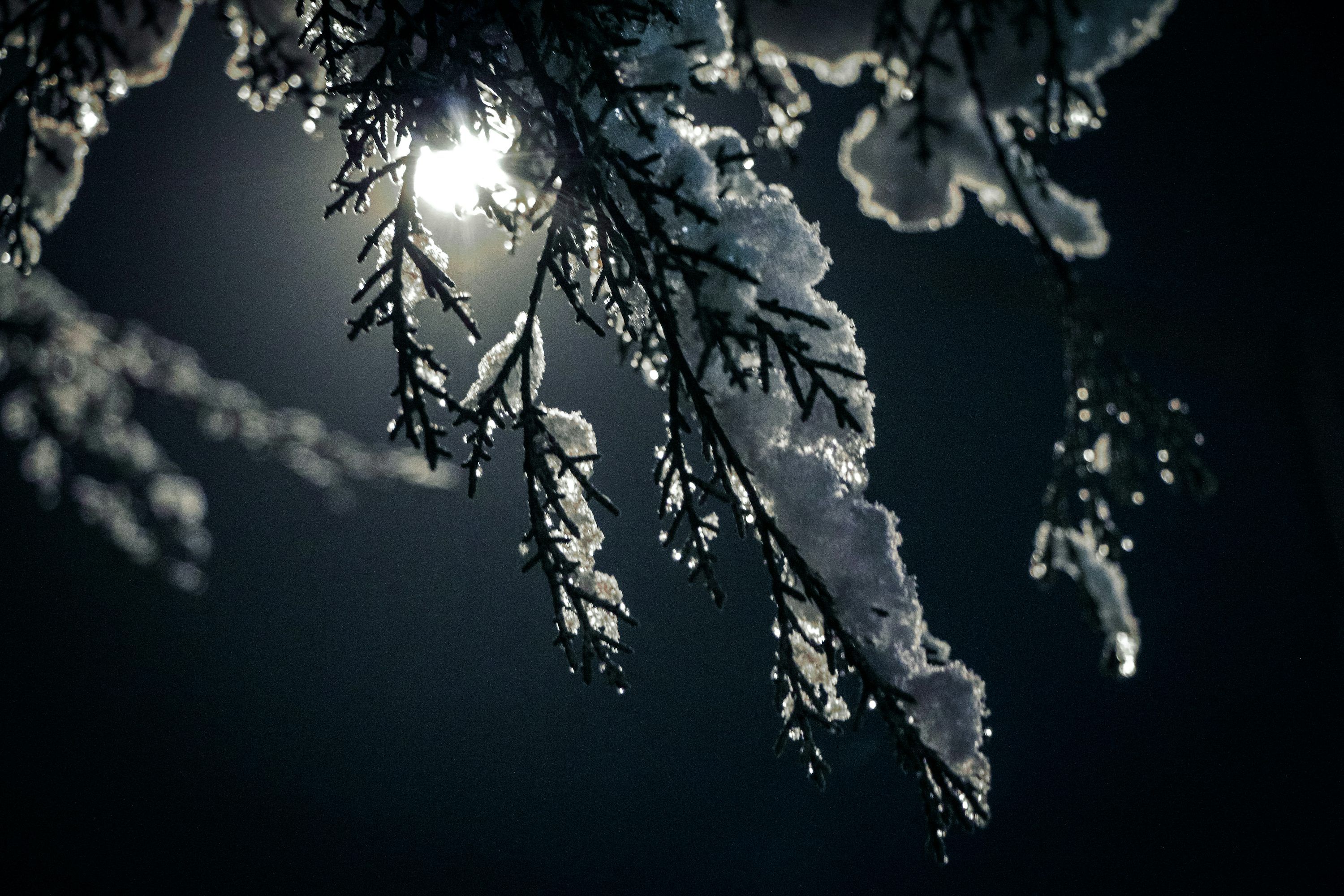 3000x2000 Winter Night Picture. Download Free Image