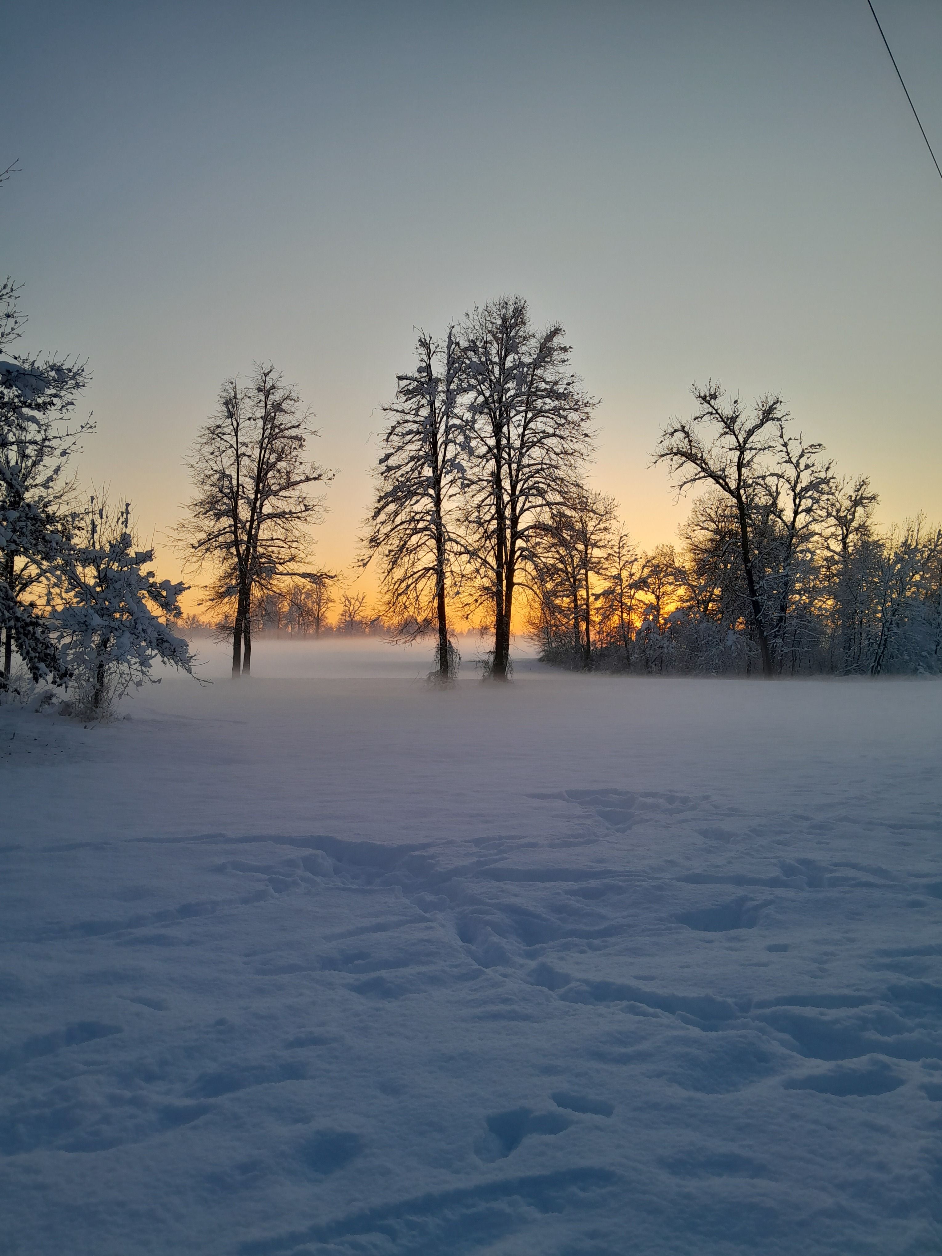 3060x4080 Snowy Winter Landscape at Sunrise · Free
