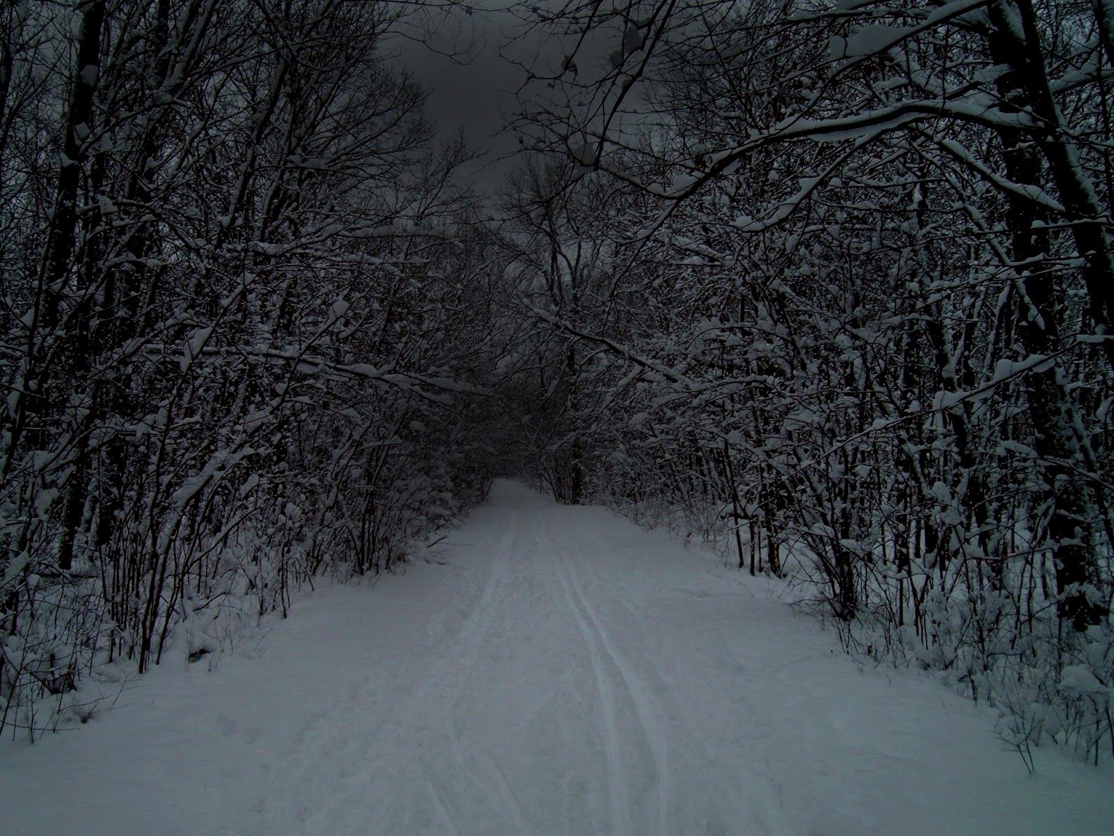 1600x1200 Magnum Arts: Stopping By Woods On A Snowy Evening