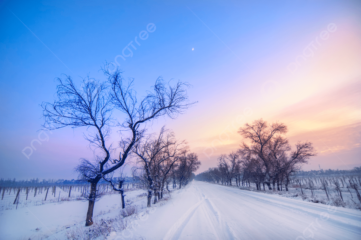 1200x797 Winter Evening Picture Photo, Picture And Background Image For Free Download