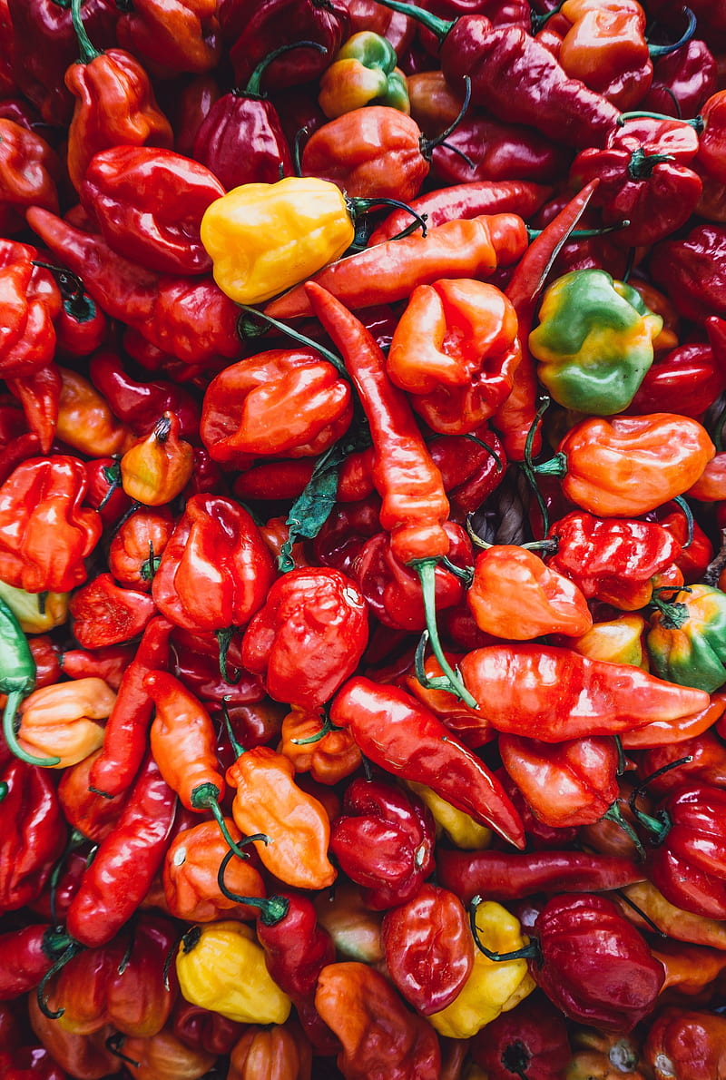 800x1190 Chillies, chilly, green chillies, jalapeno, mirchi, paprika, pepper, peppers, HD phone wallpaper