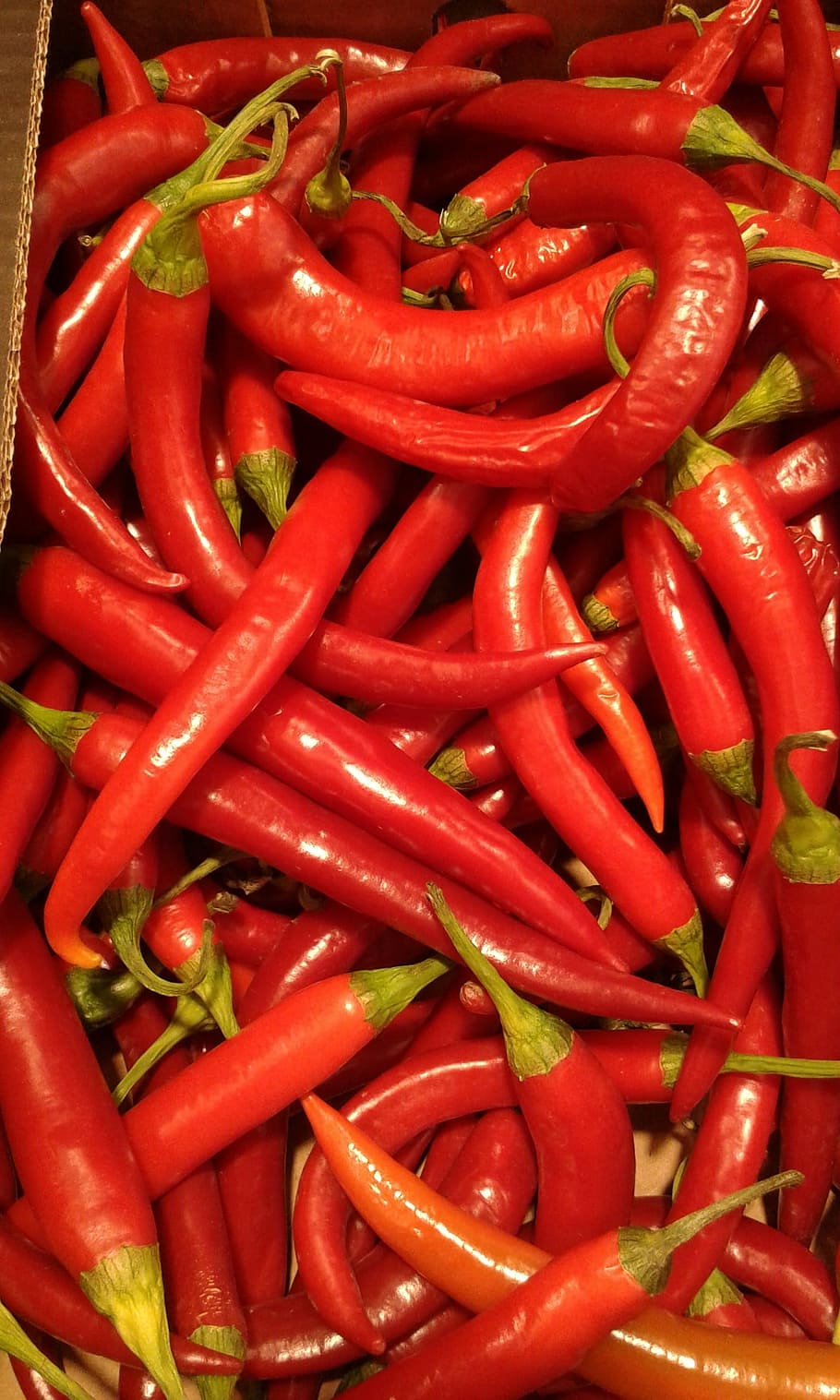 910x1517 HD wallpaper: Chili, Red, Pepper, spice, food, food and drink, vegetable