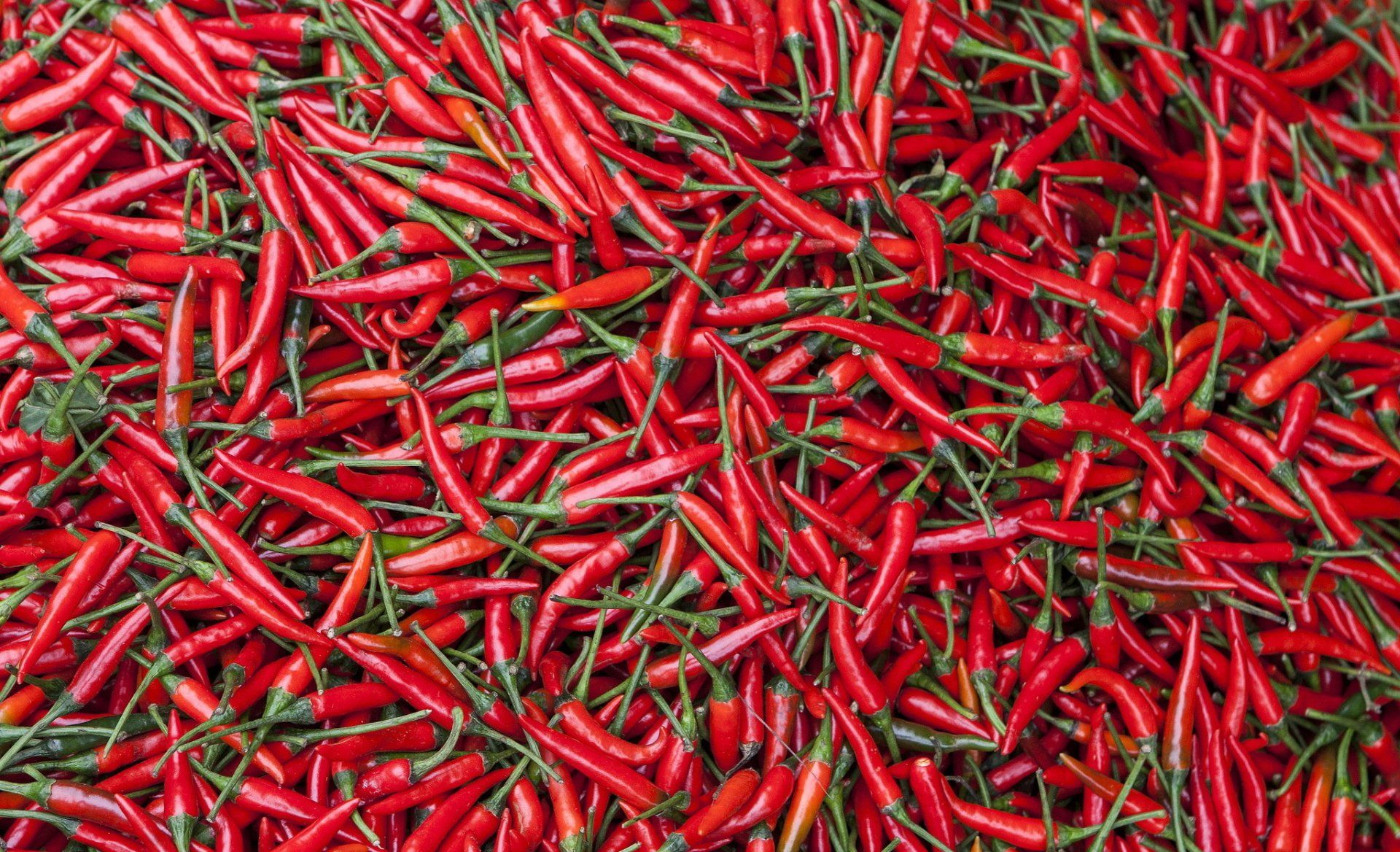 1920x1168 Fiery Red Pepper Feast