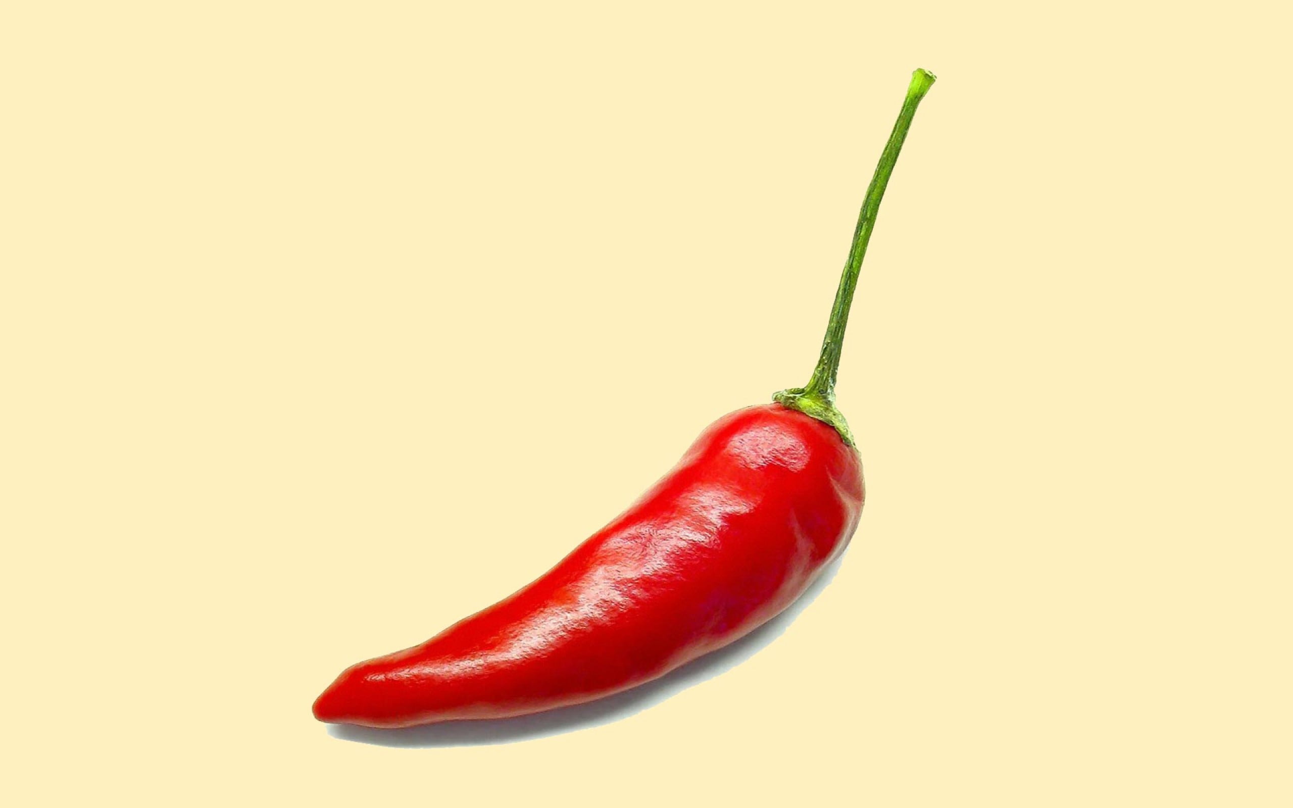 2560x1600 Red chili, food, chilli peppers HD wallpaper